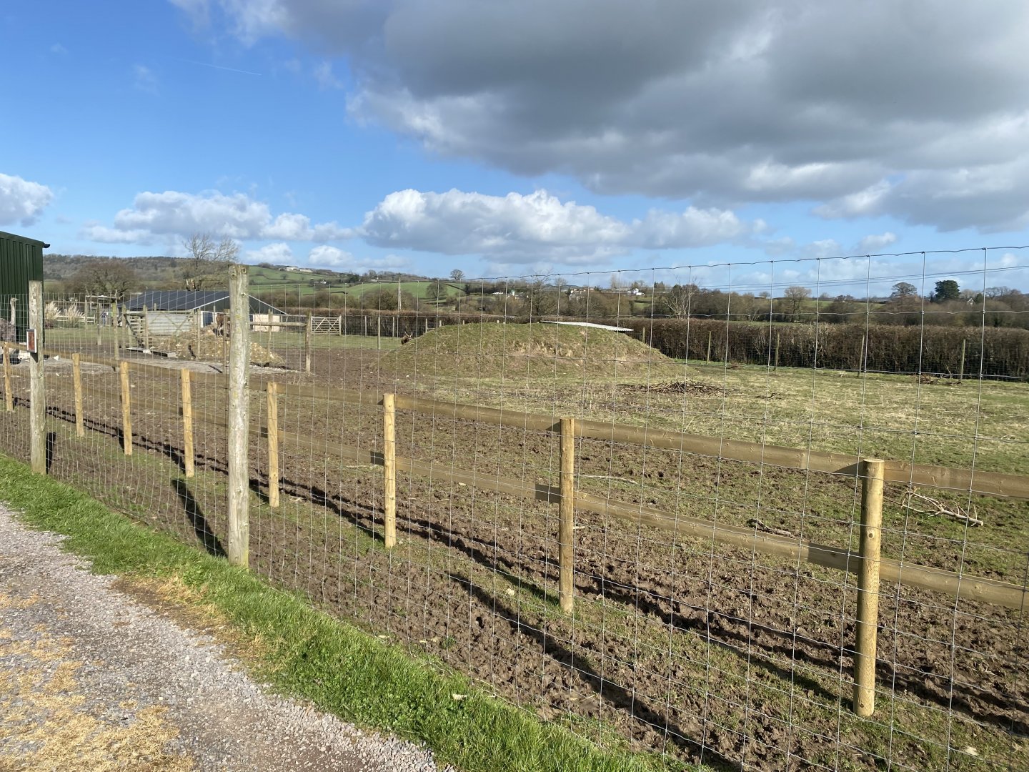 Western sitatunga enclosure 250222