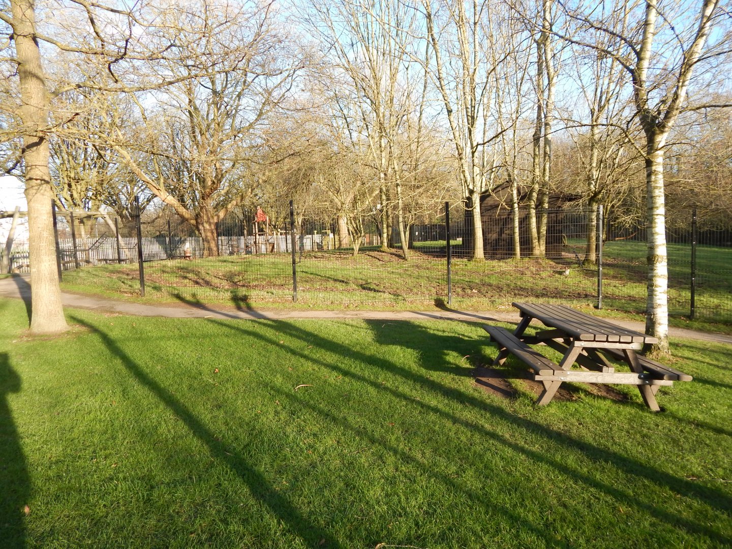 Western sitatunga enclosure 260124