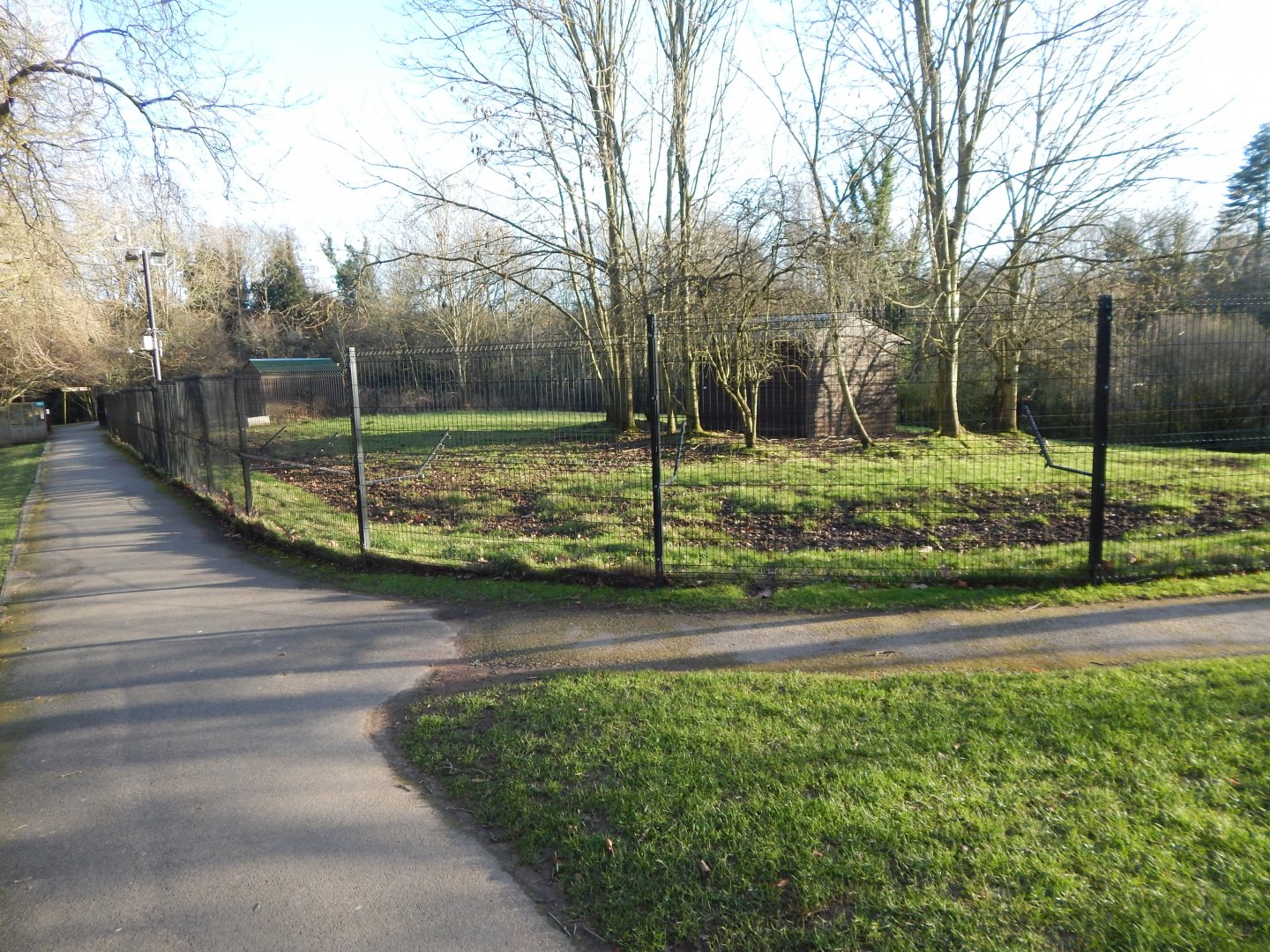 Western sitatunga enclosure 260124
