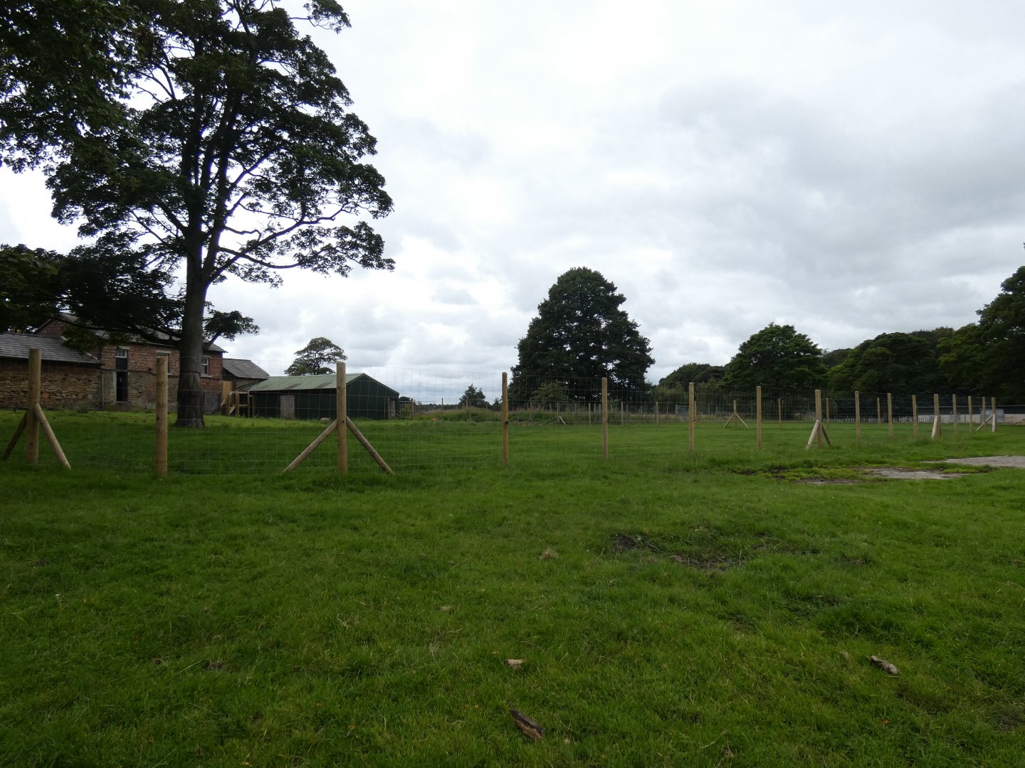 Western Sitatunga enclosure