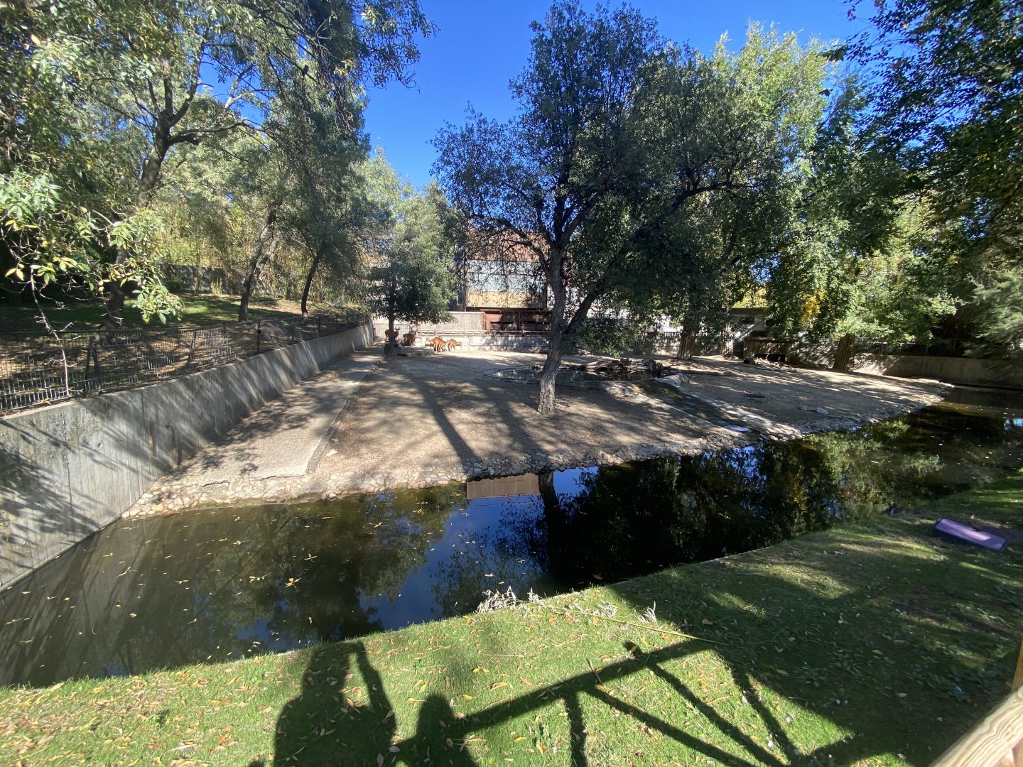 Western sitatunga enclosure