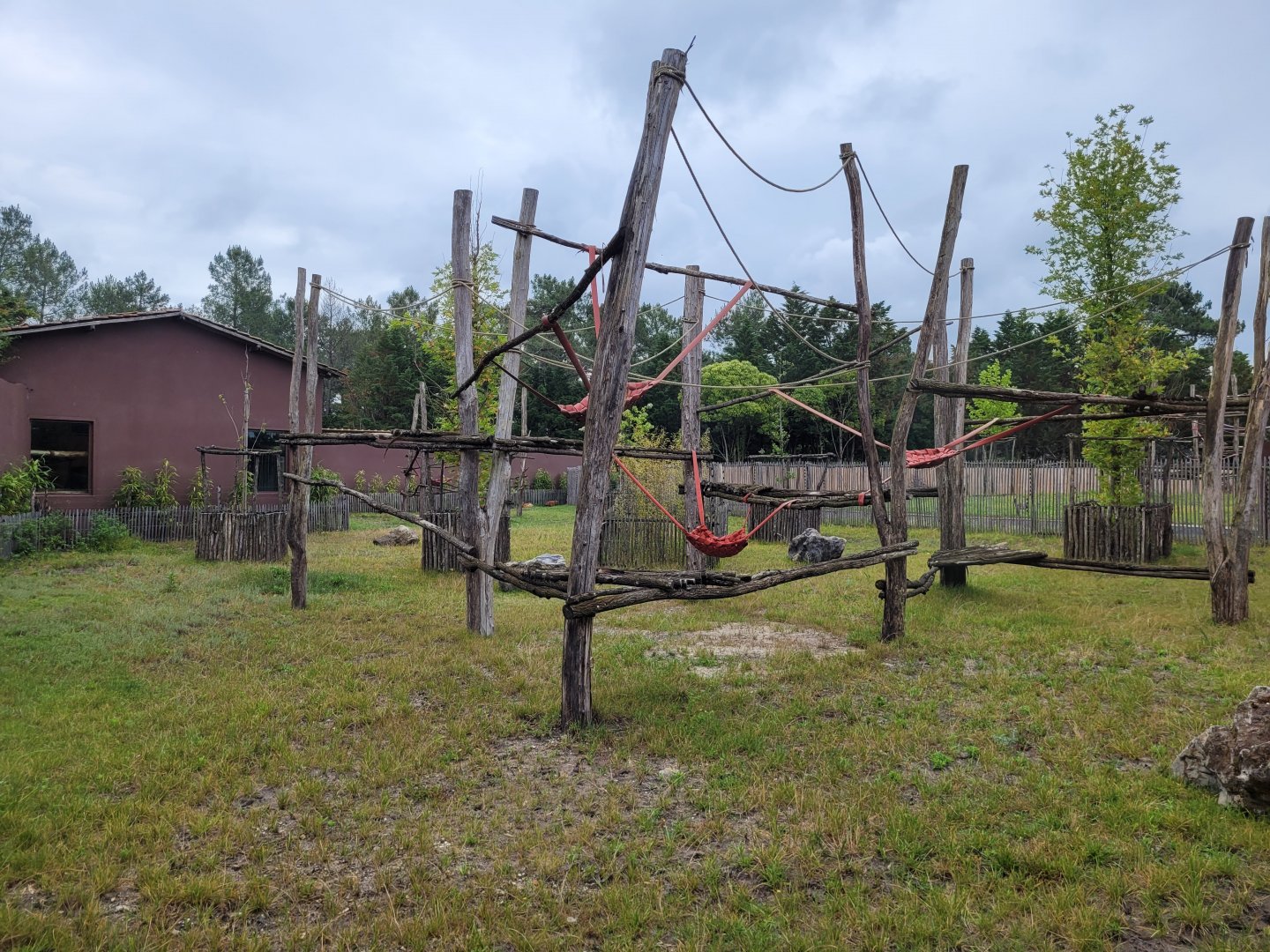 Western sitatunga exhibit -Zoo du bassin d'Arcachon (2024)