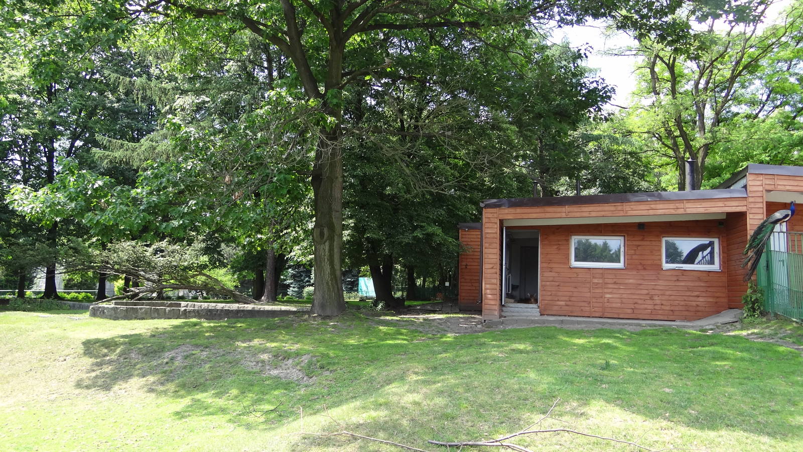 Western Sitatunga paddock and house