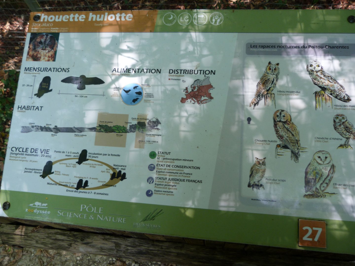 Western tawny owl and owls of the Poitou region sign -Zoodyssée (2025)