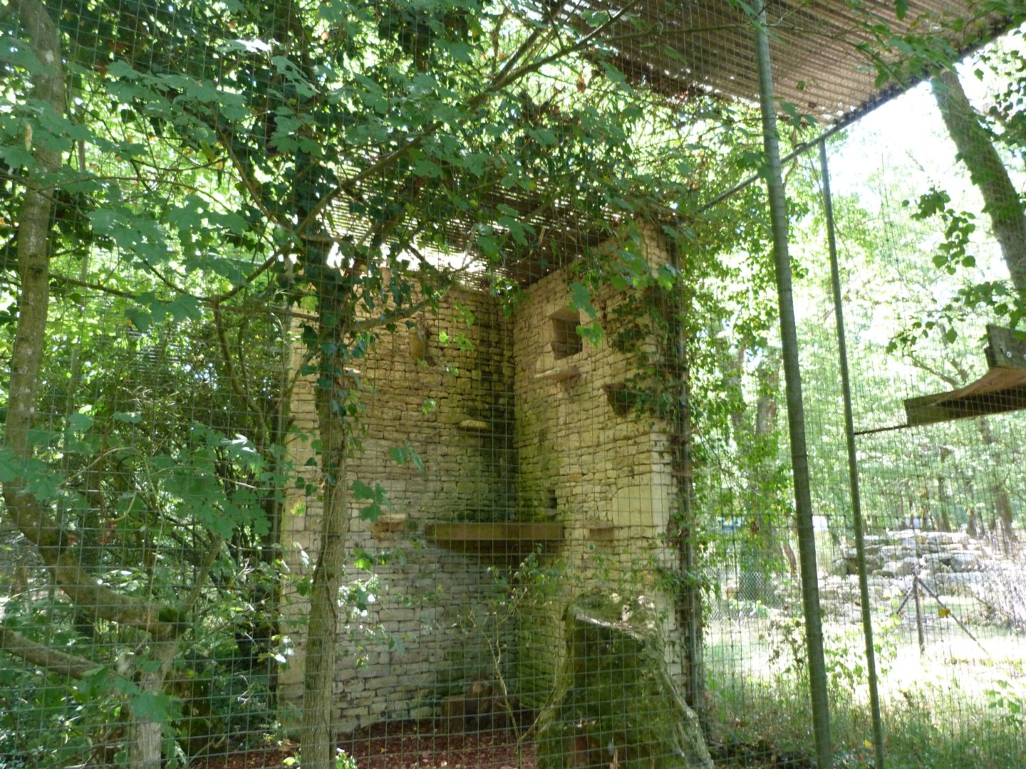 Western tawny owl exhibit -Zoodyssée (2025)