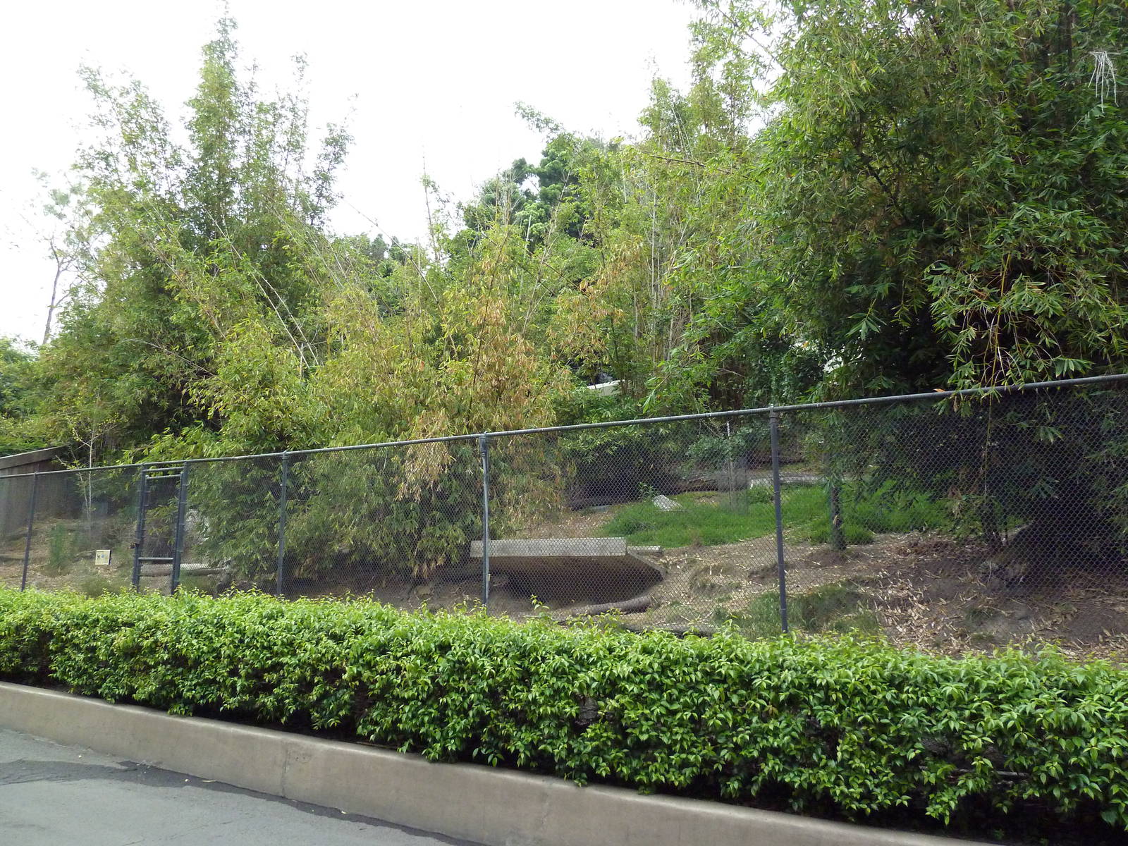 Western Tufted Deer Exhibit