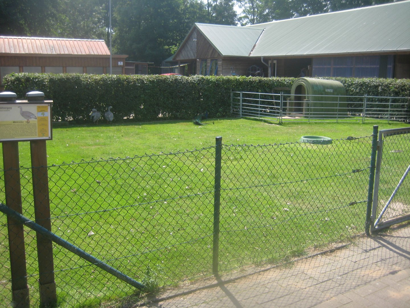 Westküstenpark - Cape Barren goose exhibit