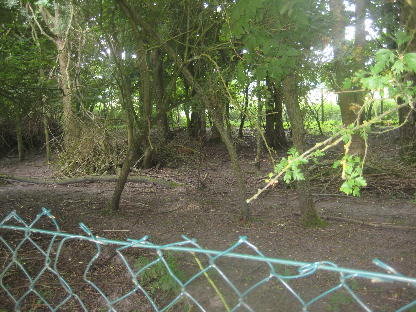 Westküstenpark - Deer exhibit