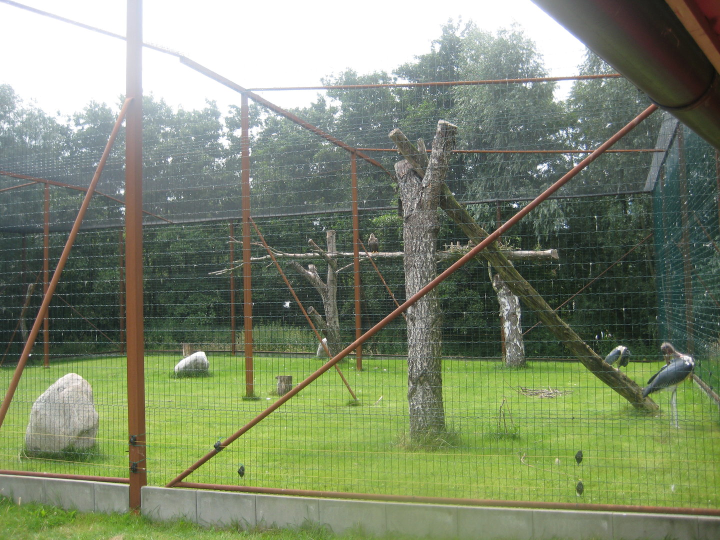 Westküstenpark - Eagle/stork exhibit