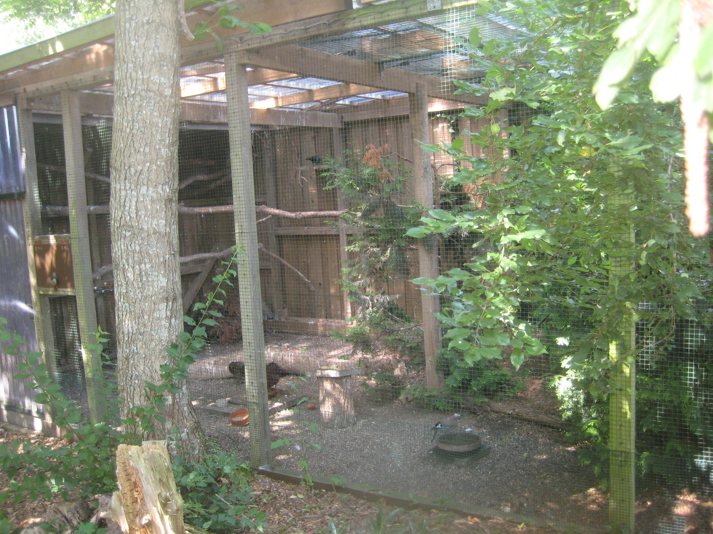 Westküstenpark - European forest aviary