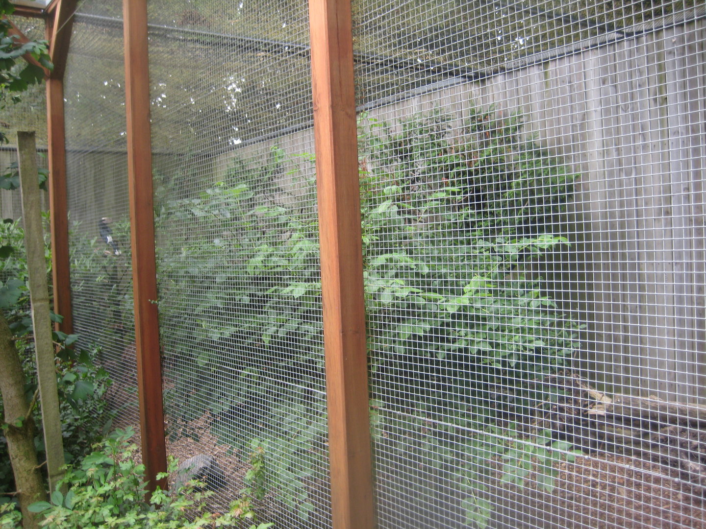 Westküstenpark - Mixed exotic aviary