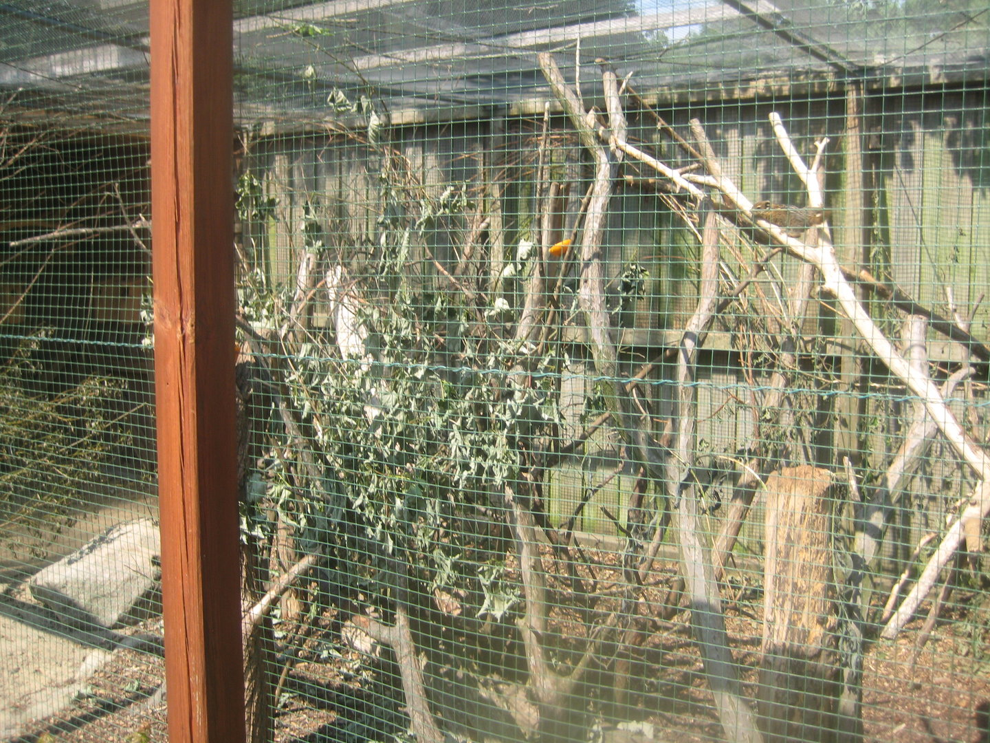 Westküstenpark - Squirrel exhibit