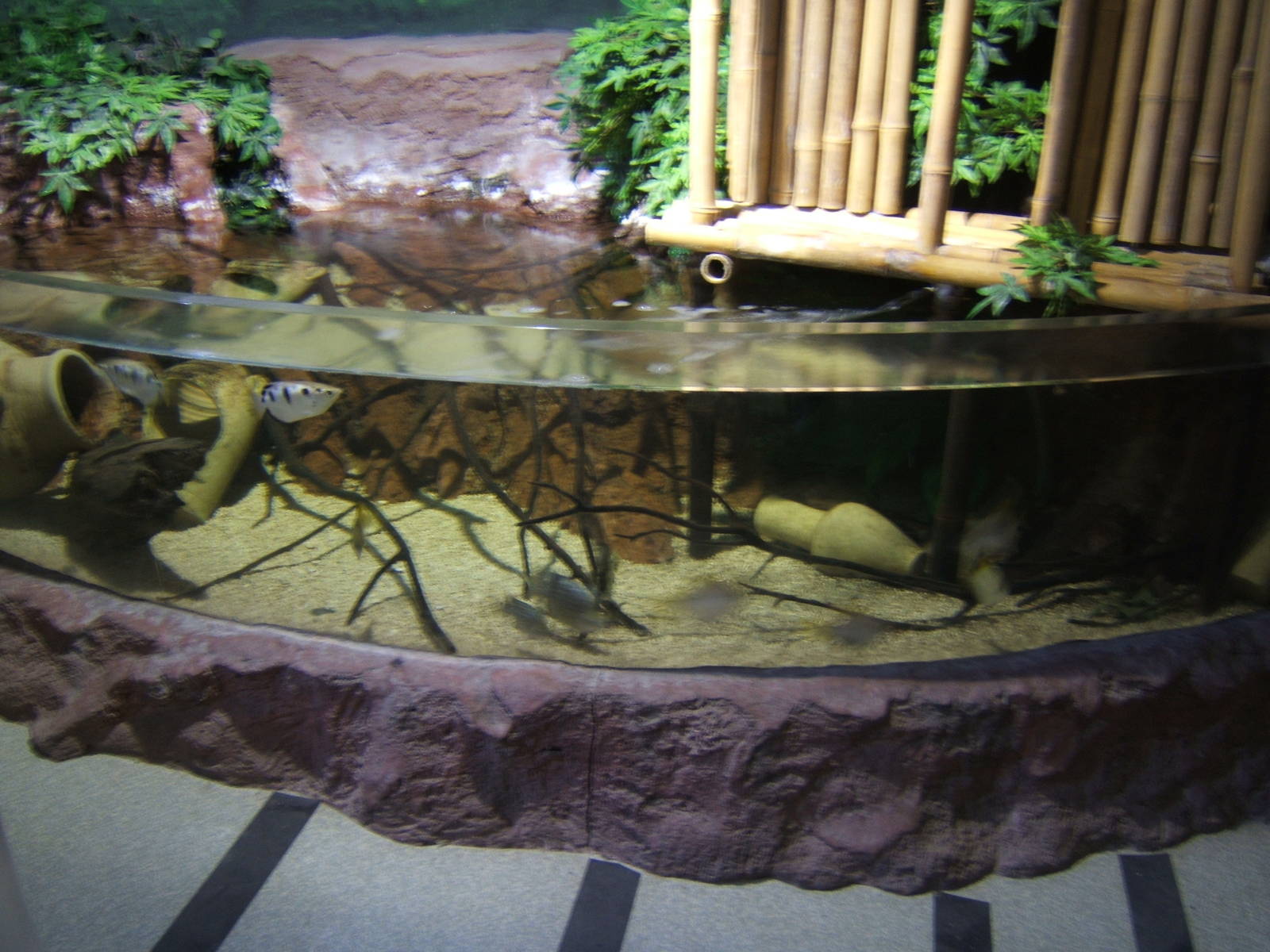 Weston-super-mare Seaquarium