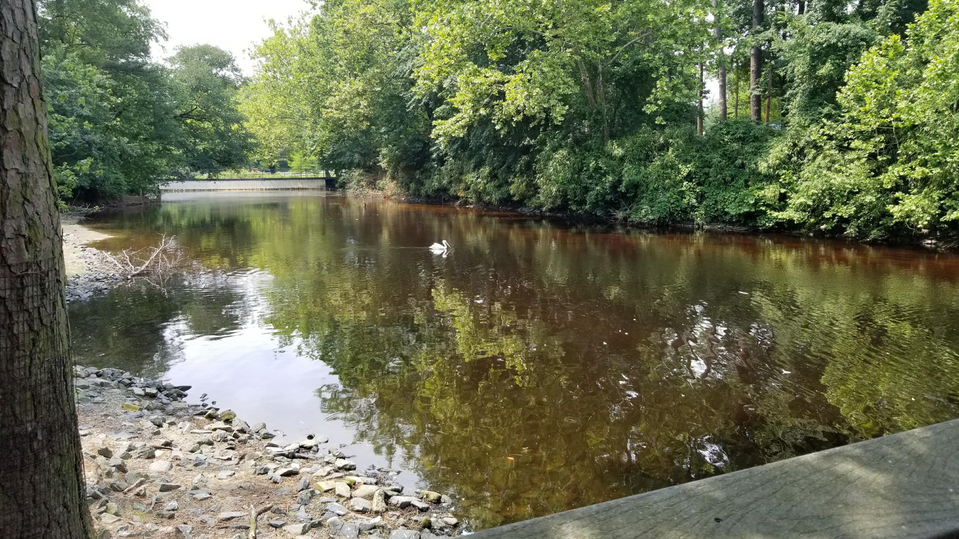 Westward view from boardwalk