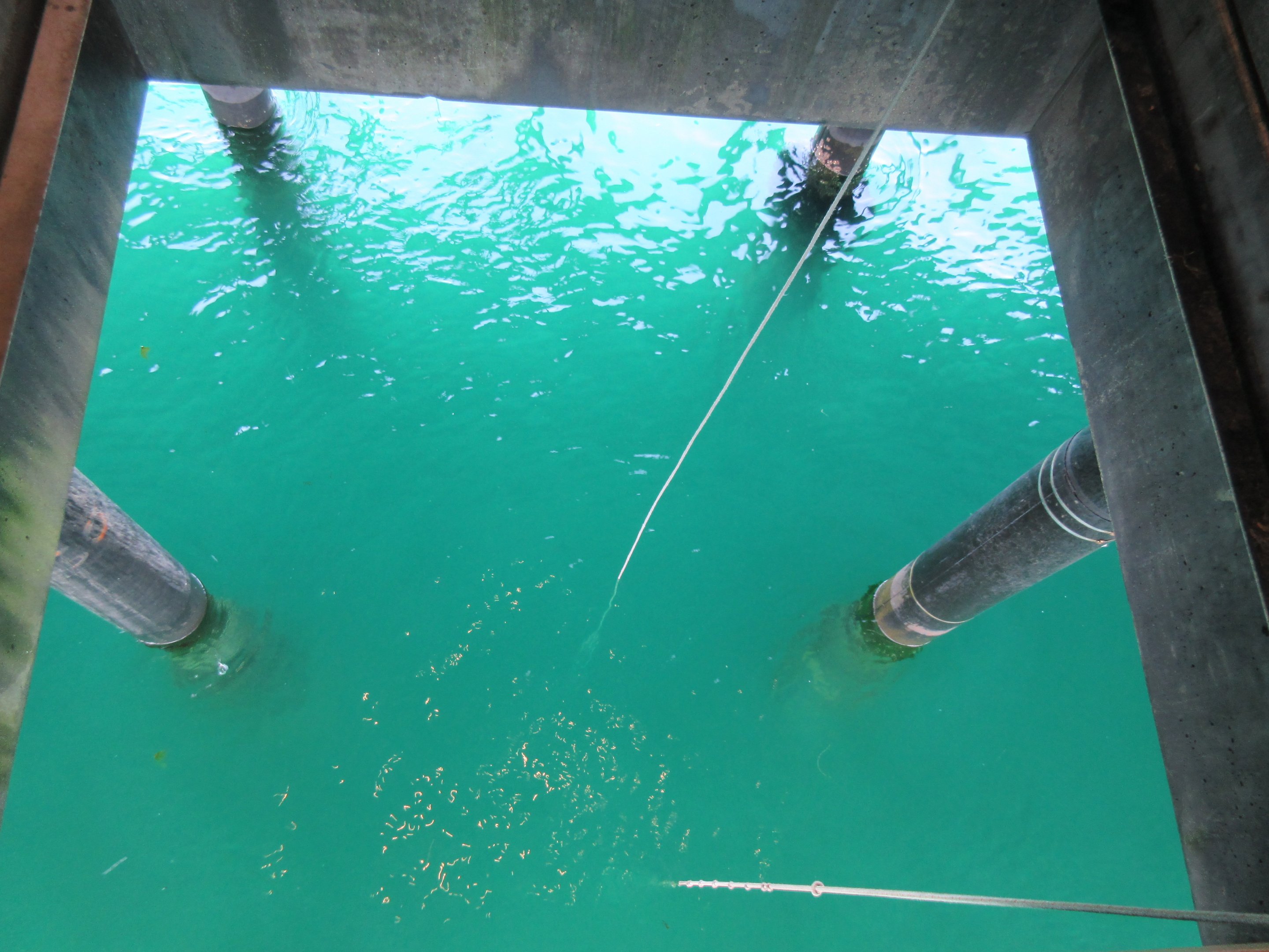 Wet Deck (fishing lines dangling into the ocean)
