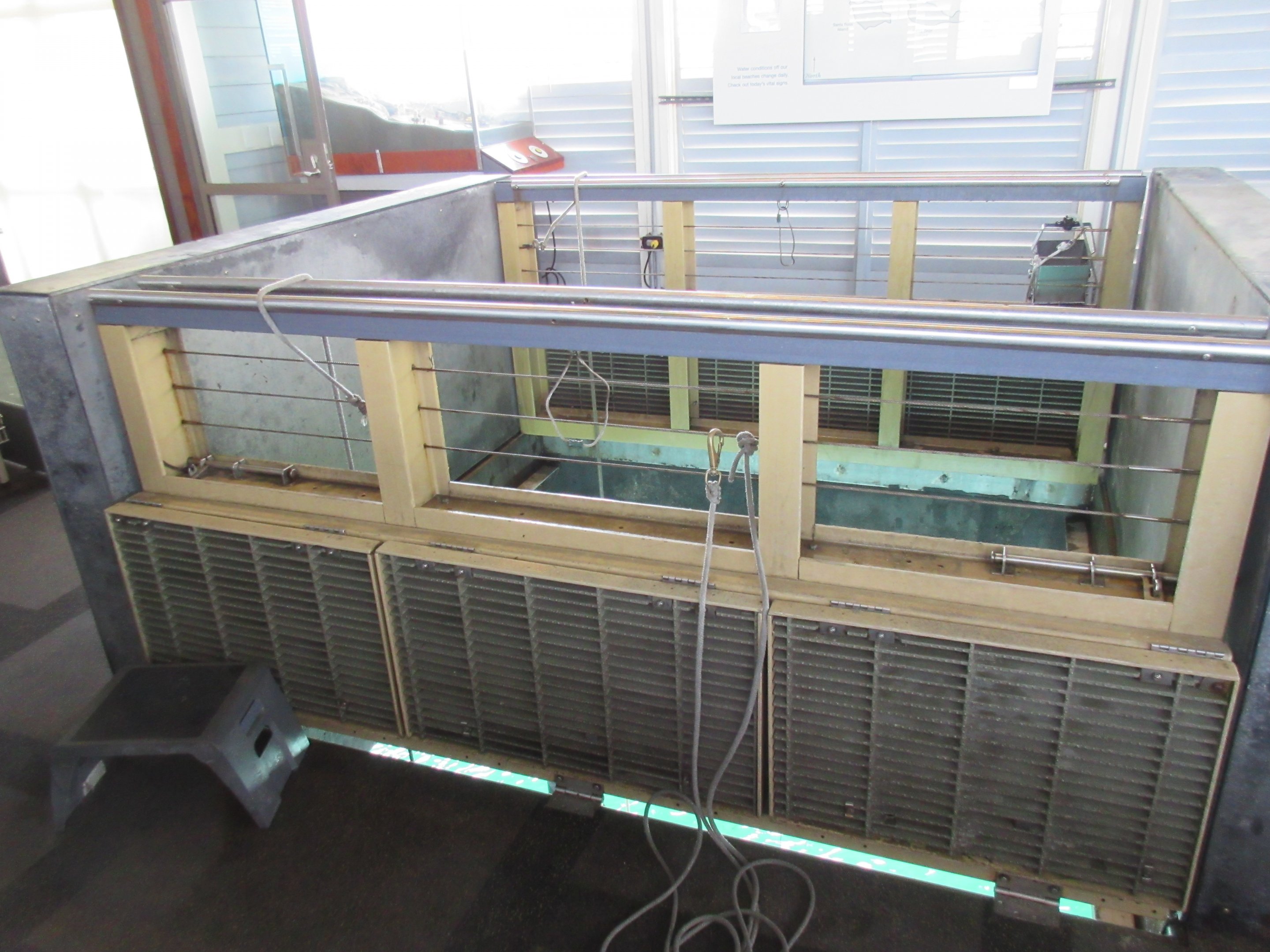 Wet Deck (fishing lines dangling into the ocean)