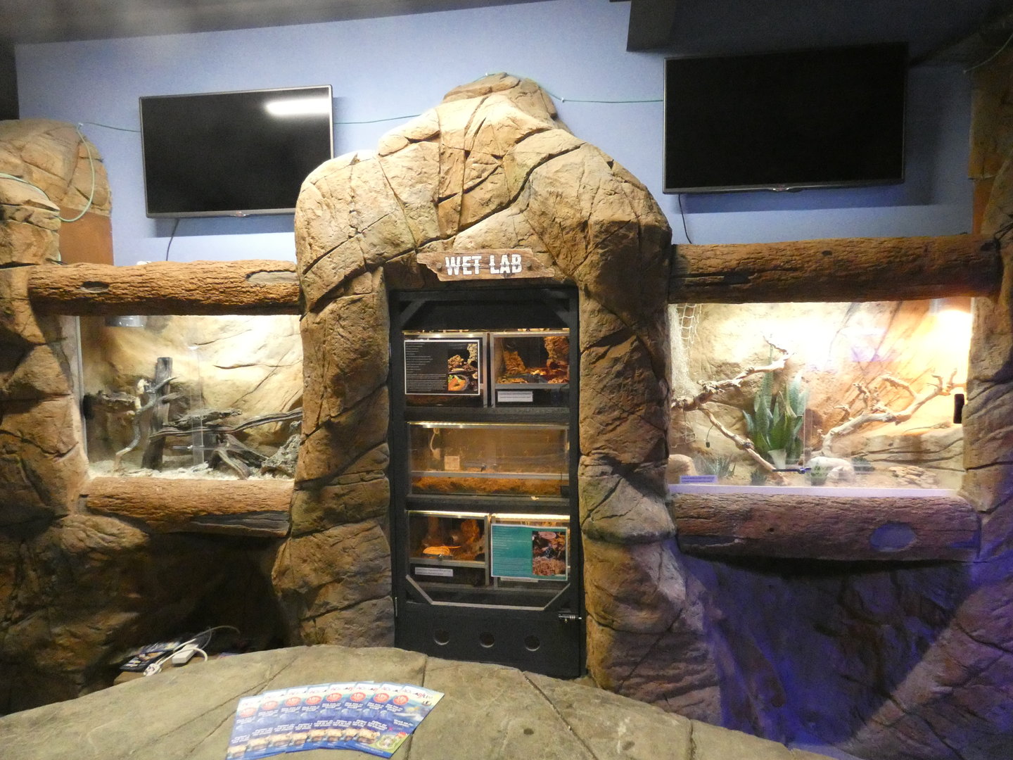 Wet lab - Skegness Aquarium