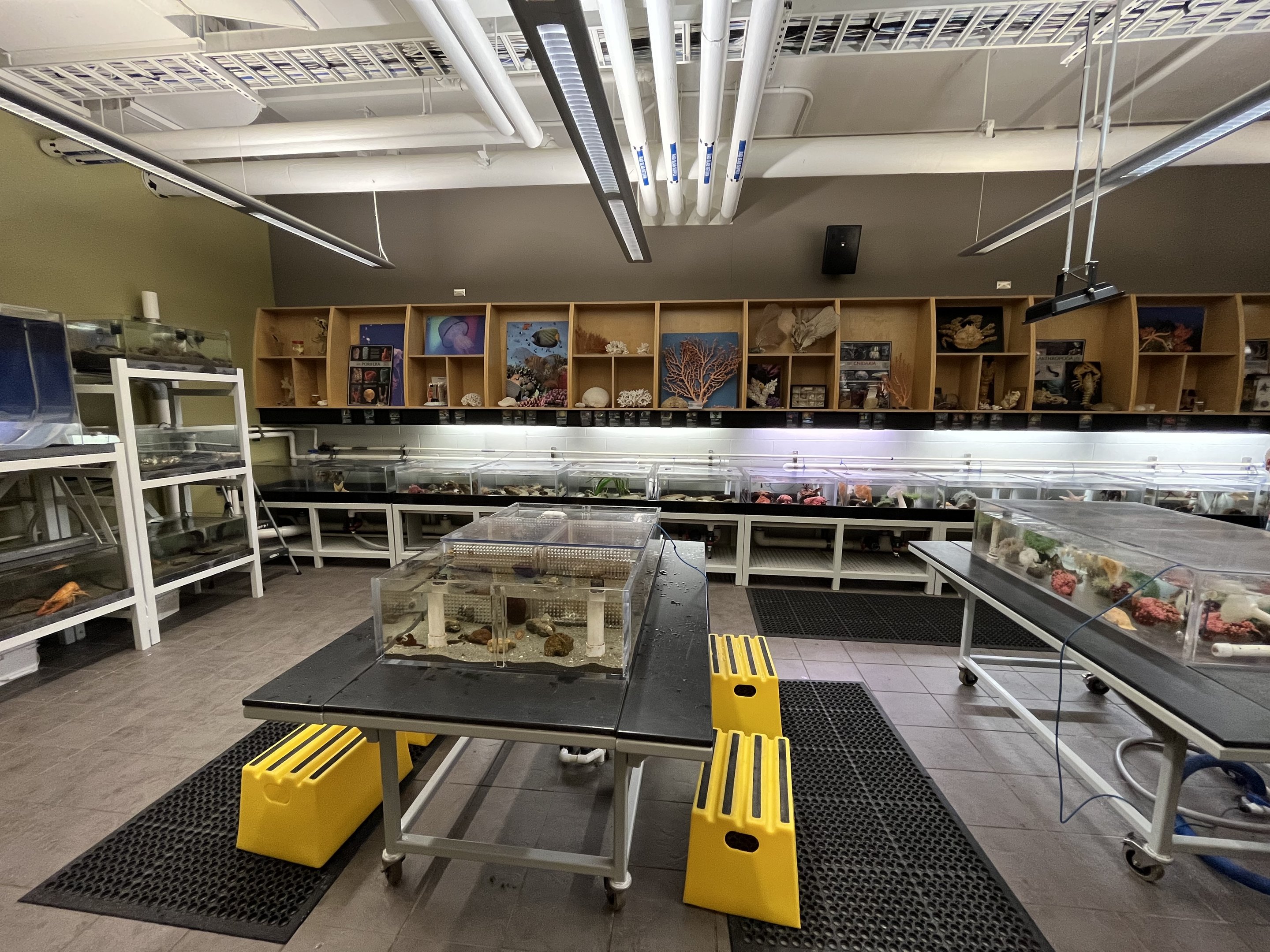 Wet Lab (very limited opening times)