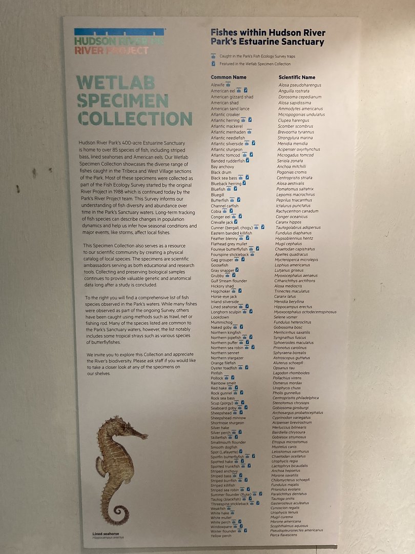 Wetlab Species Collection