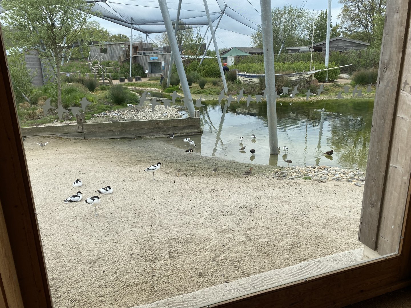 Wetland Aviary 290422