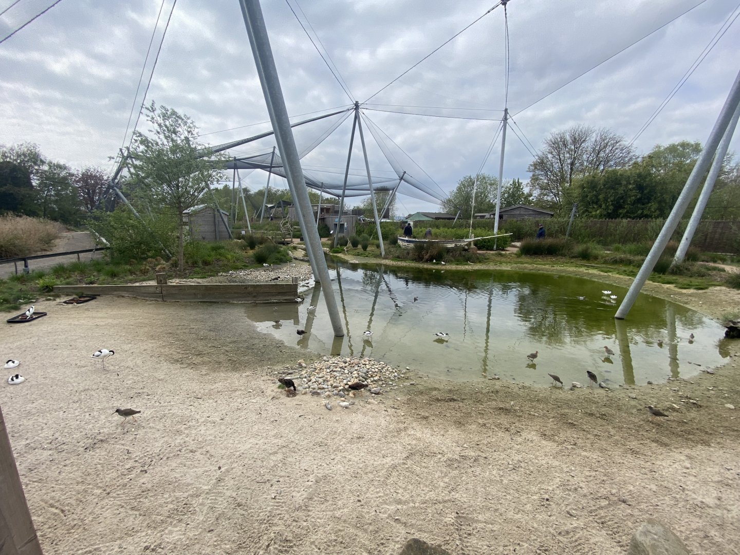 Wetland Aviary 290422