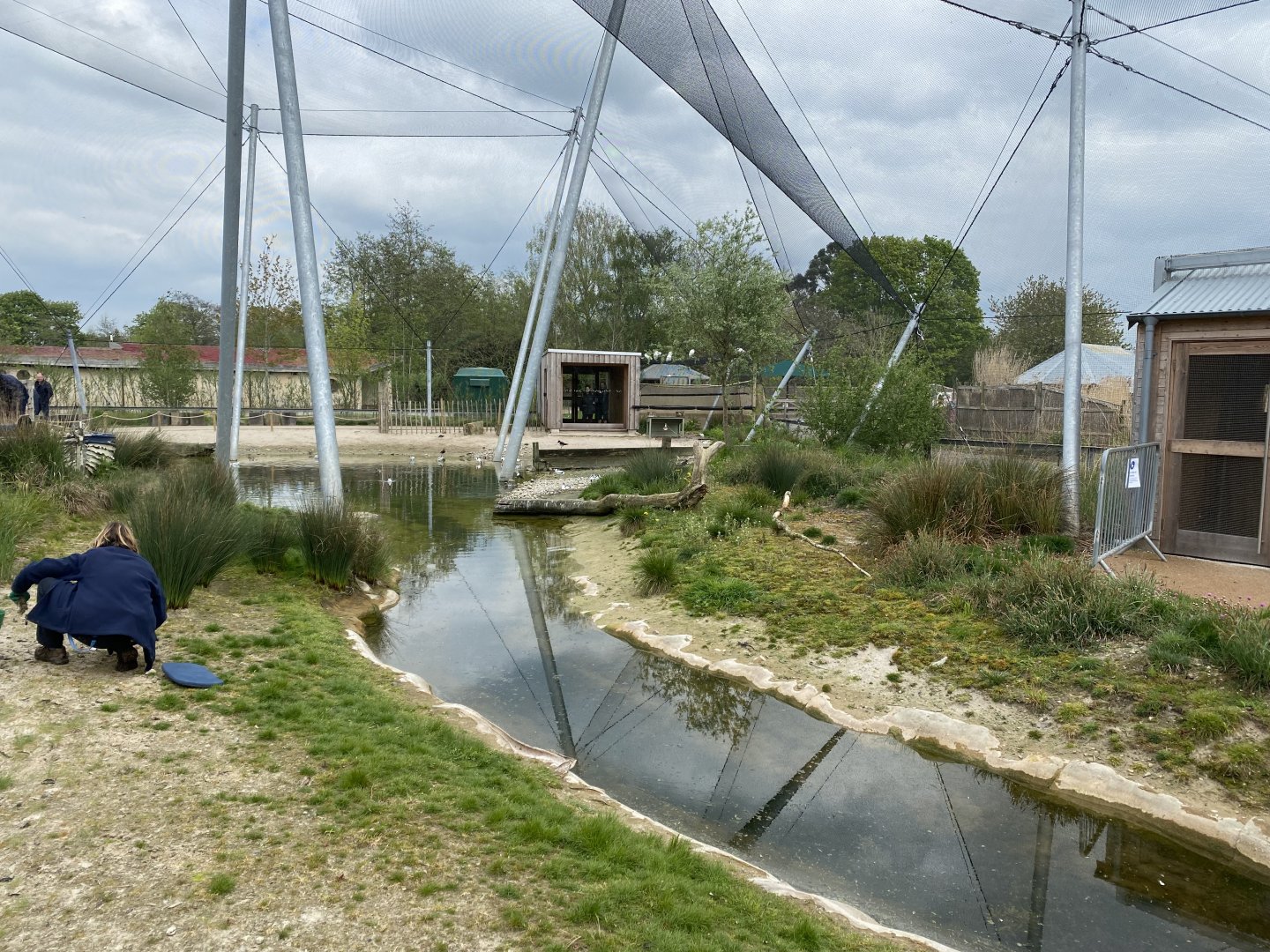 Wetland Aviary 290422