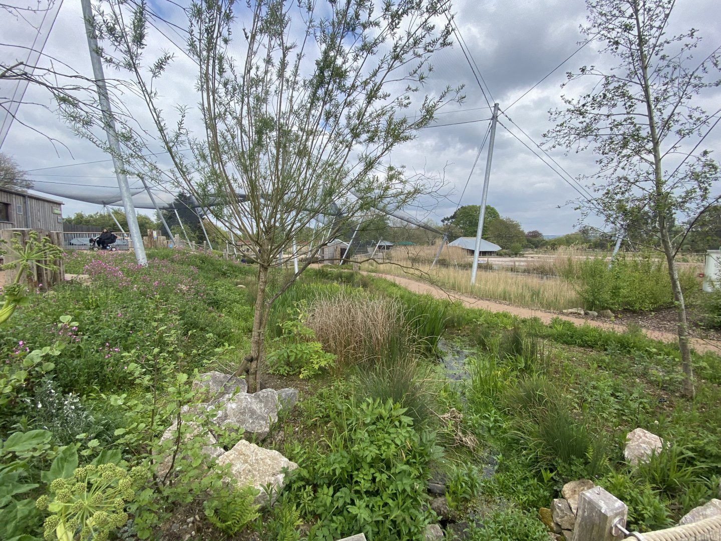 Wetland Aviary 290422