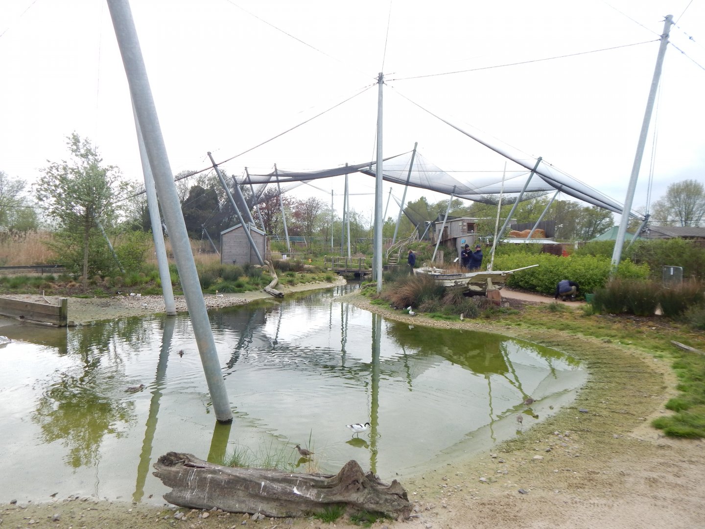 Wetland Aviary 290422