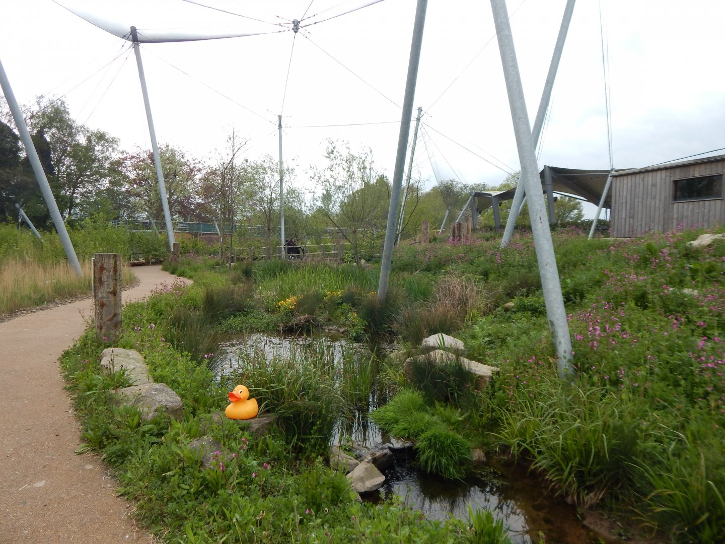 Wetland Aviary 290422