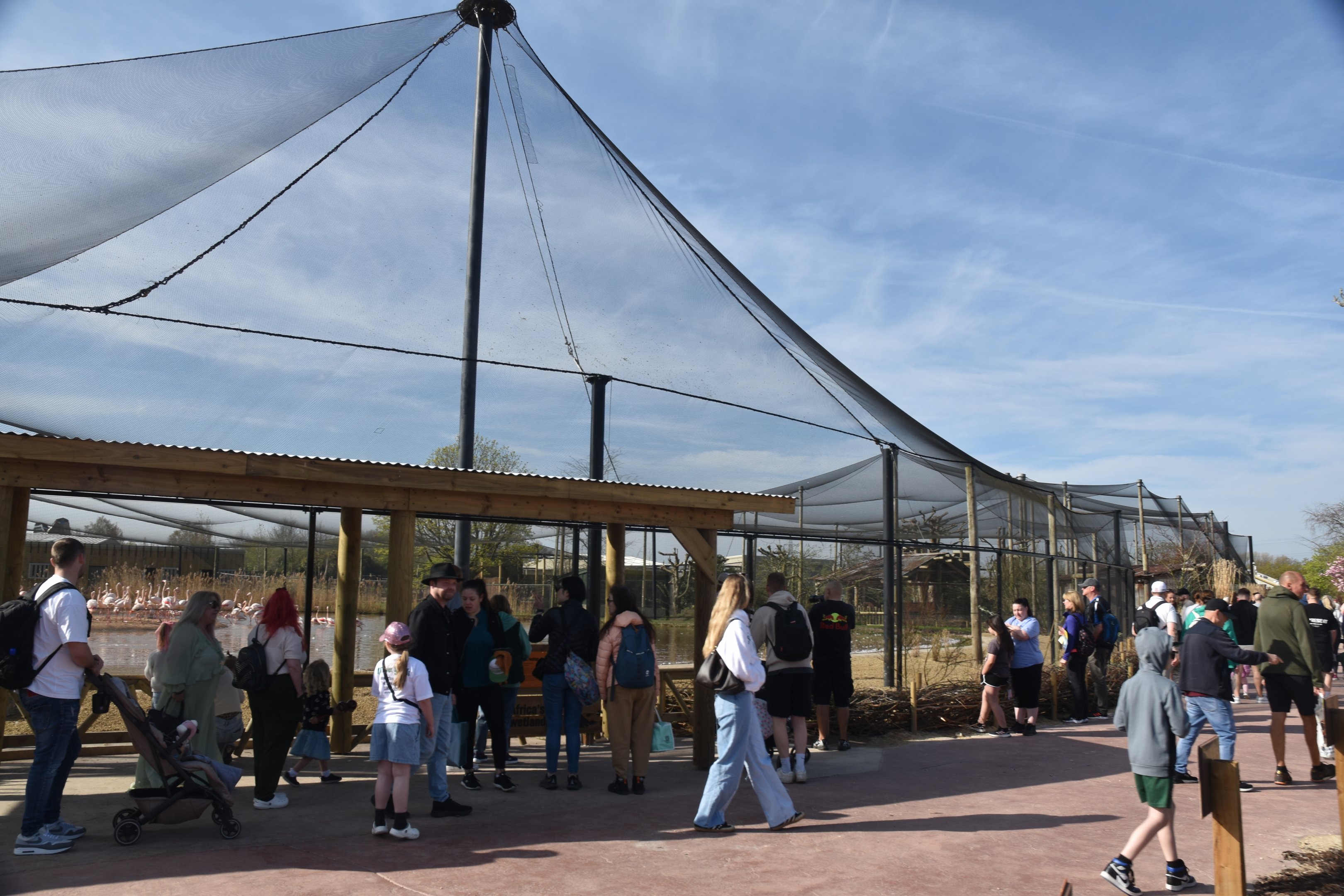 Wetland Aviary, Heart of Africa at Chester, 12th April 2025