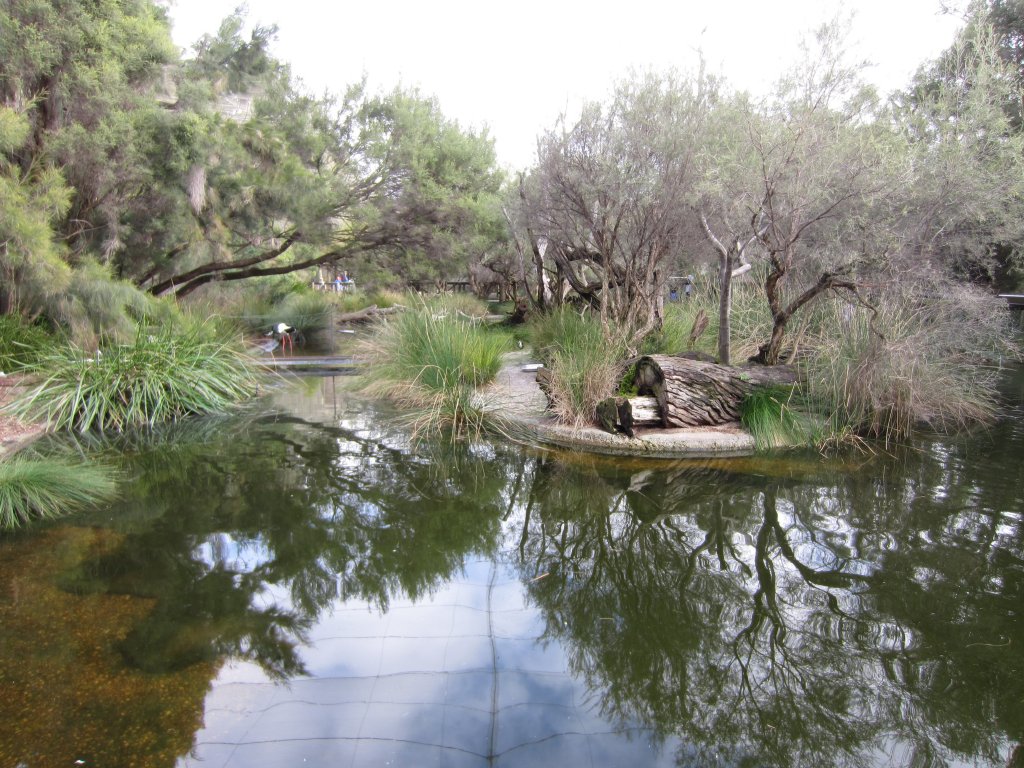 Wetland Aviary interior