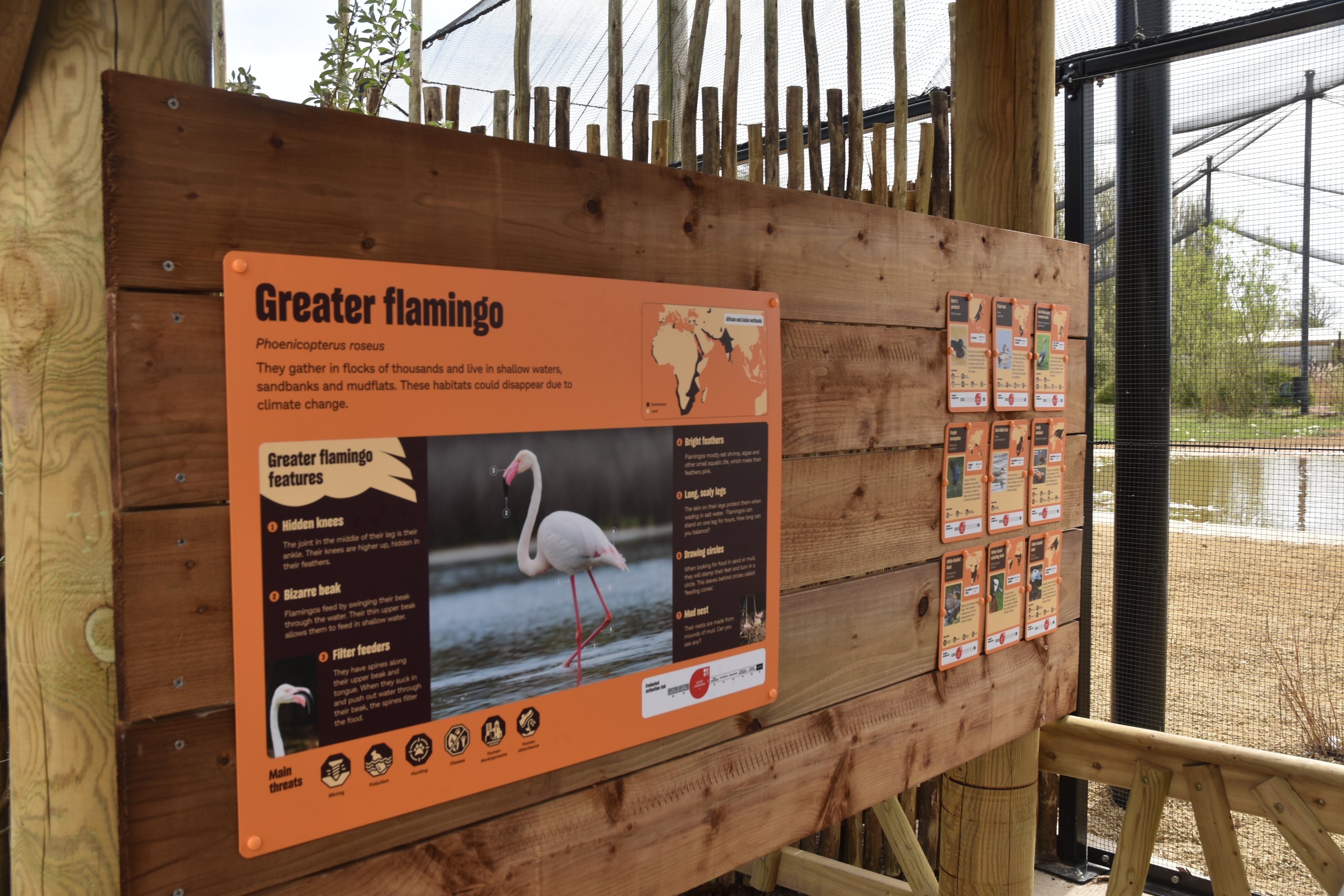 Wetland Aviary Signage, Heart of Africa at Chester, 12th April 2025