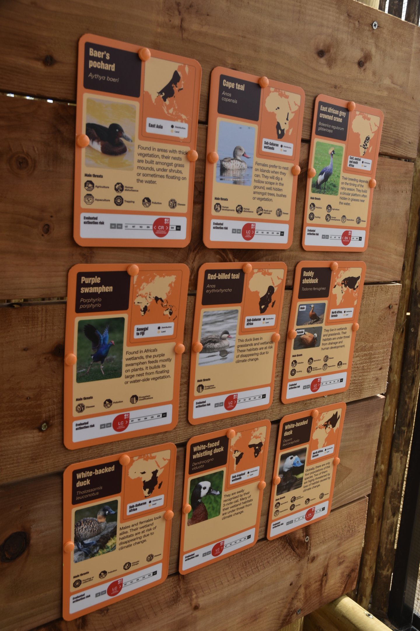 Wetland Aviary Signage, Heart of Africa at Chester, 12th April 2025