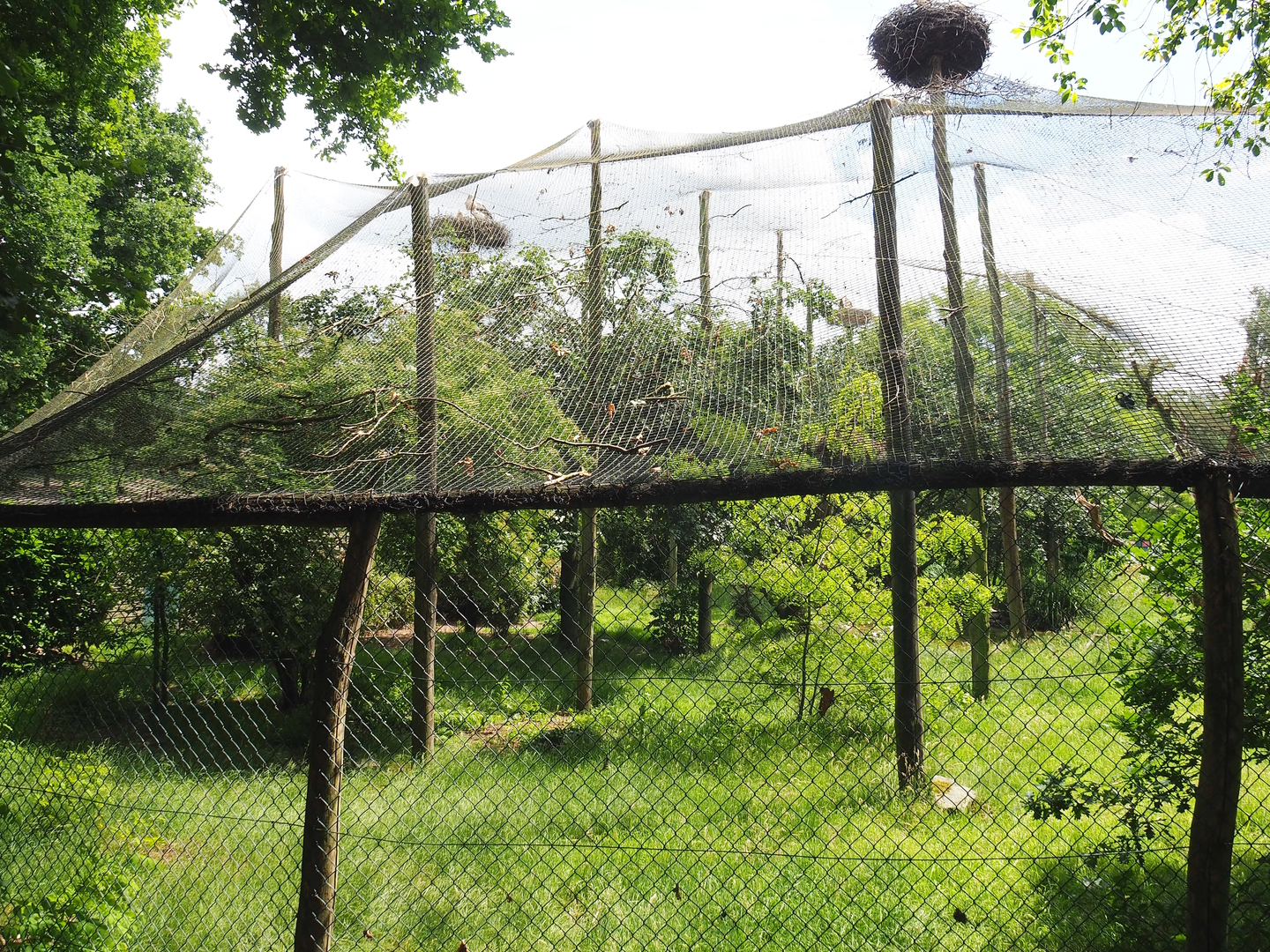 Wetland aviary, Since demolished for the expansion of the African elephant facility, 2022-06-12
