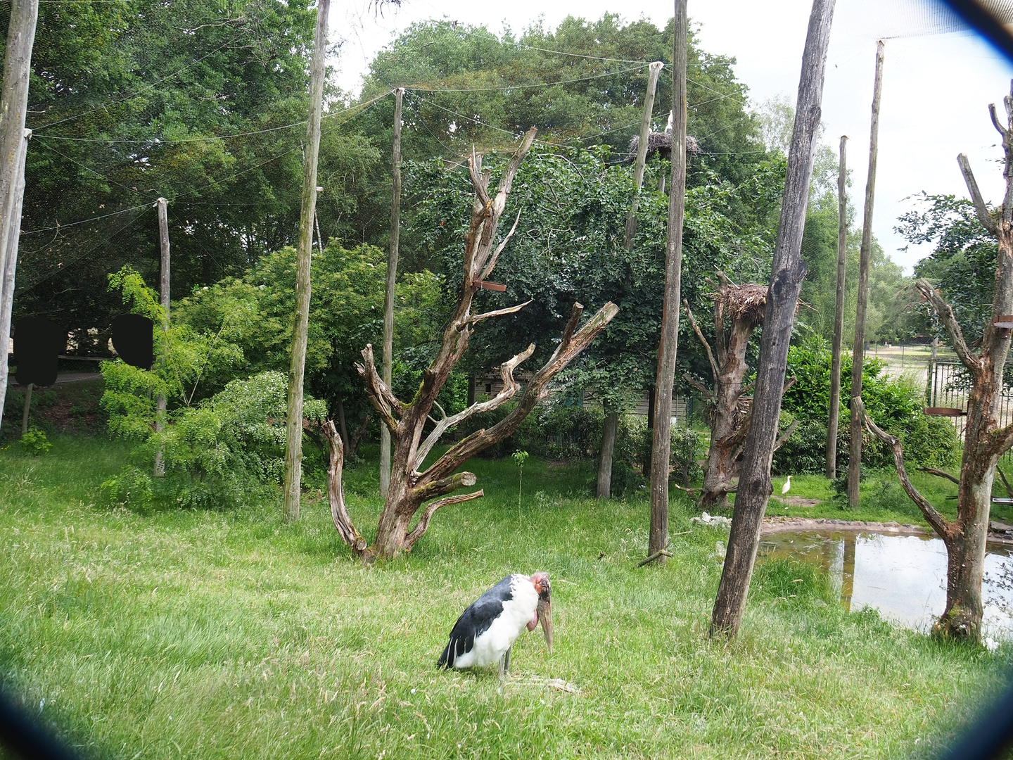 Wetland aviary, Since demolished for the expansion of the African elephant facility, 2022-06-12