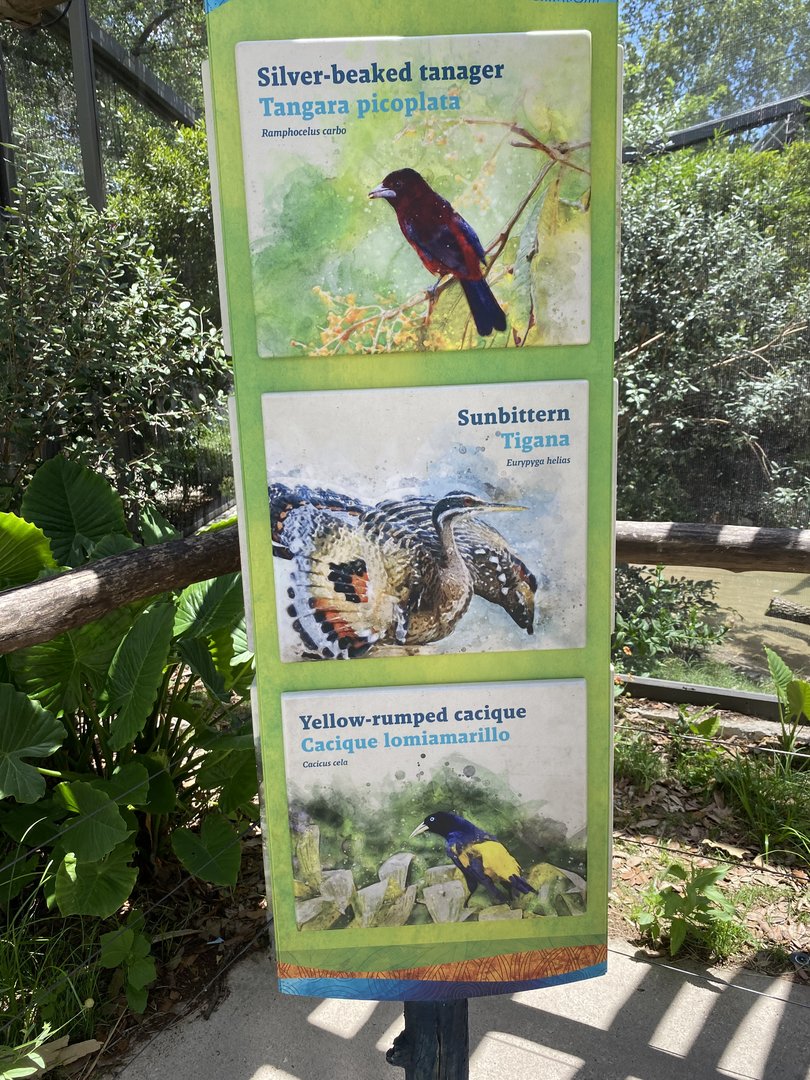 Wetland Aviary Species List