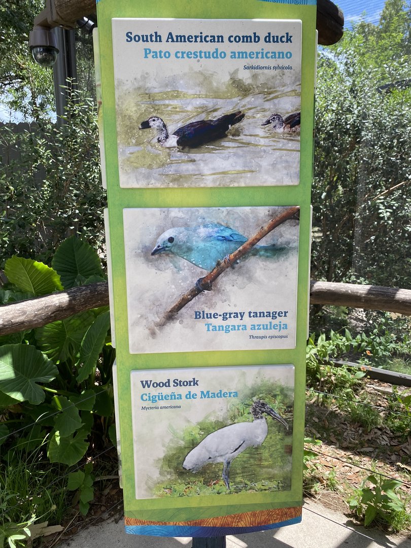 Wetland Aviary Species List