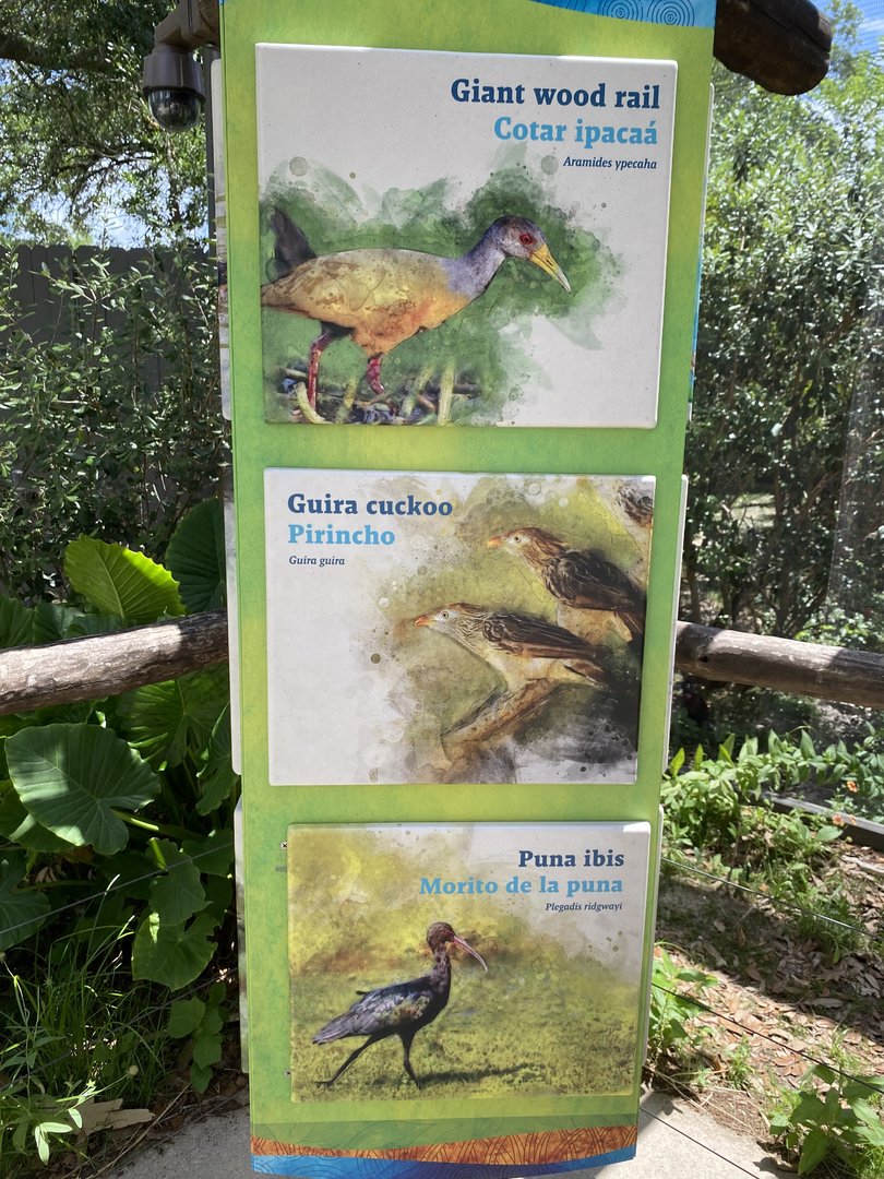 Wetland Aviary Species List
