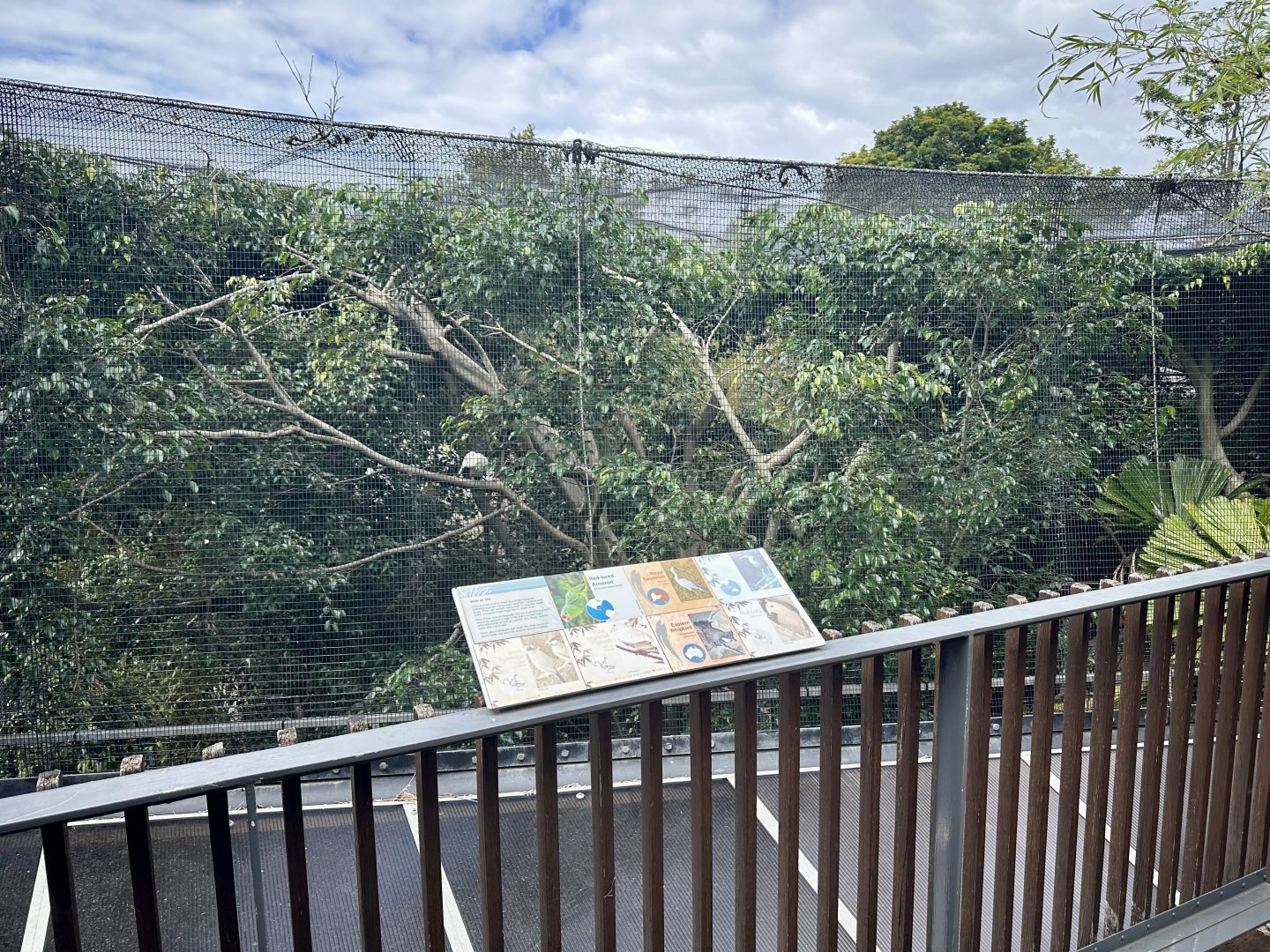 Wetland Aviary (View from Elephants)
