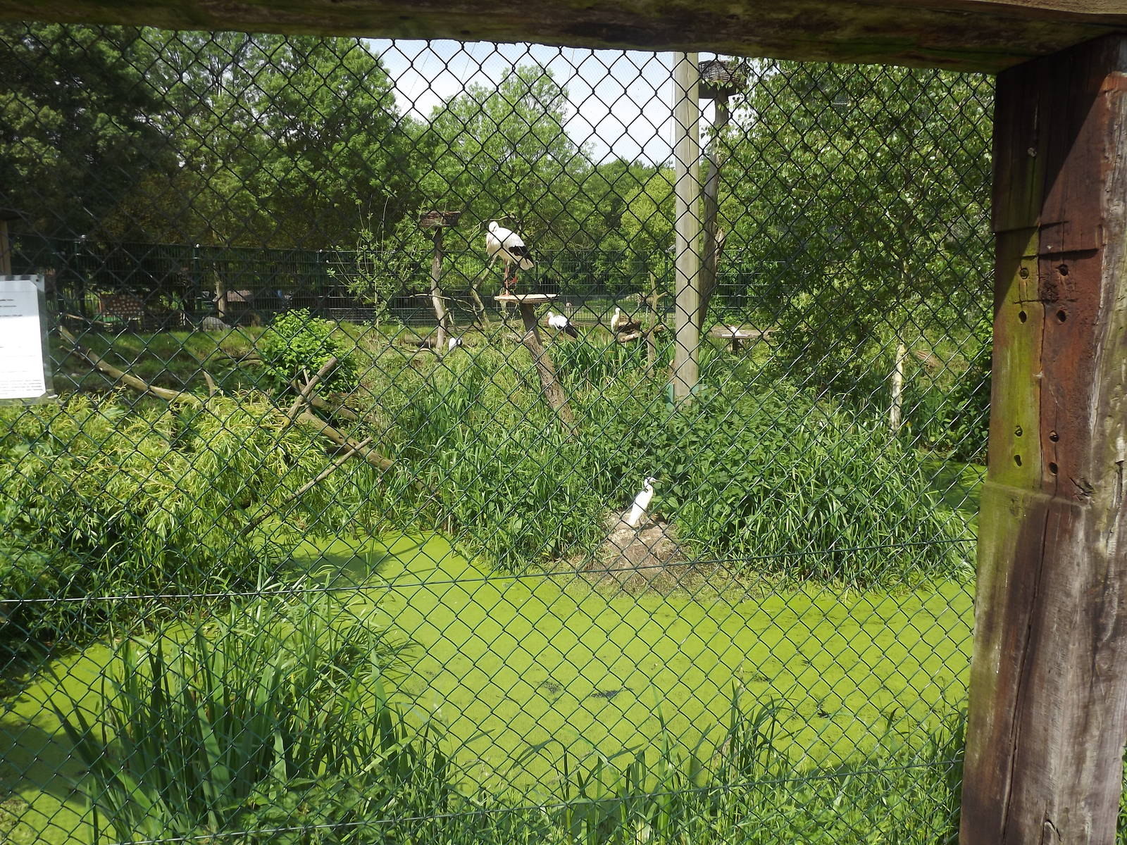 Wetland aviary