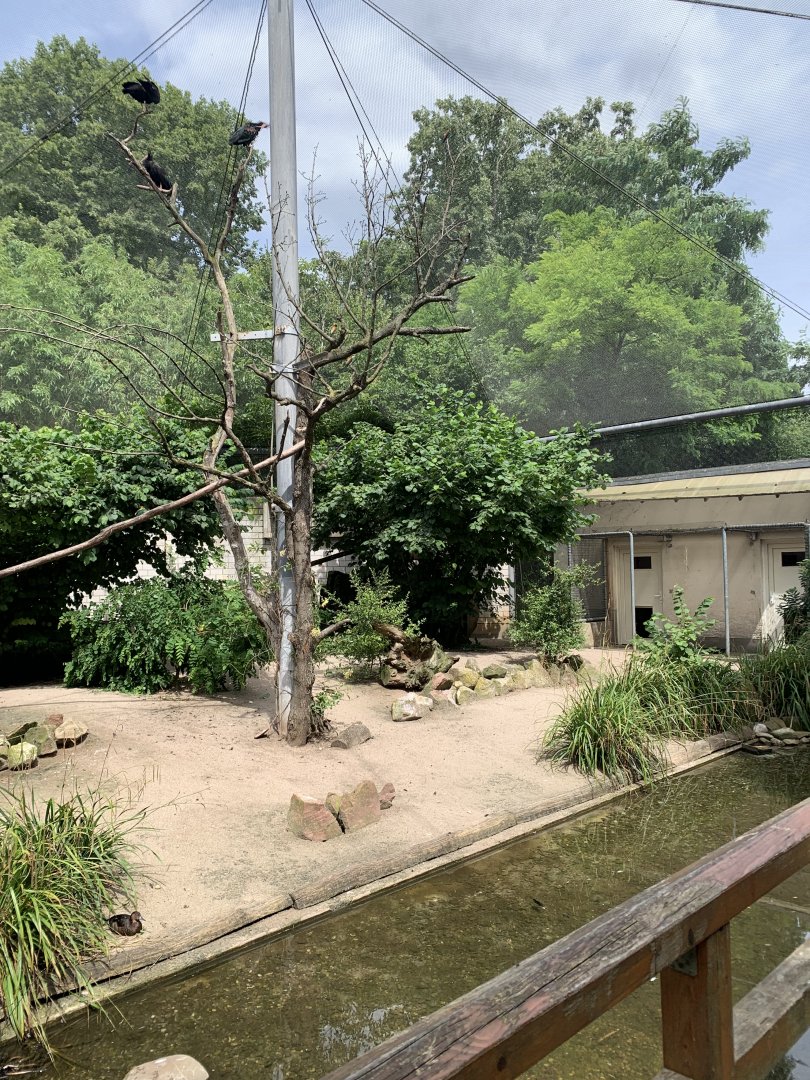 Wetland aviary