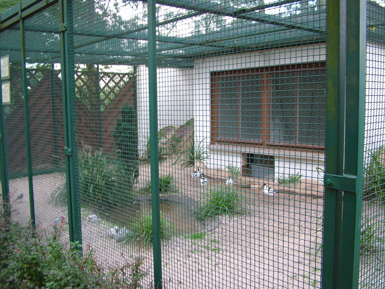 Wetland Bird Aviary at Viernheim Bird Park, 06/09/10