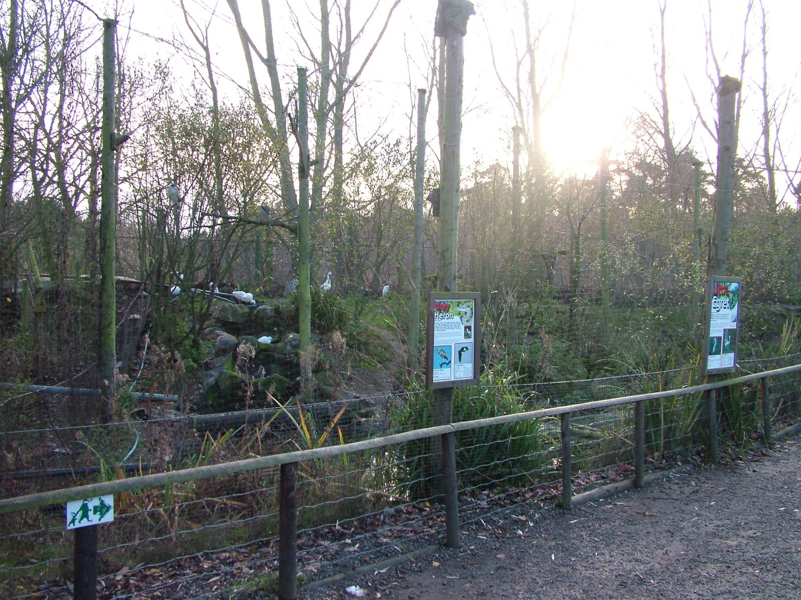 Wetland bird aviary at Wildwood 28/11/09