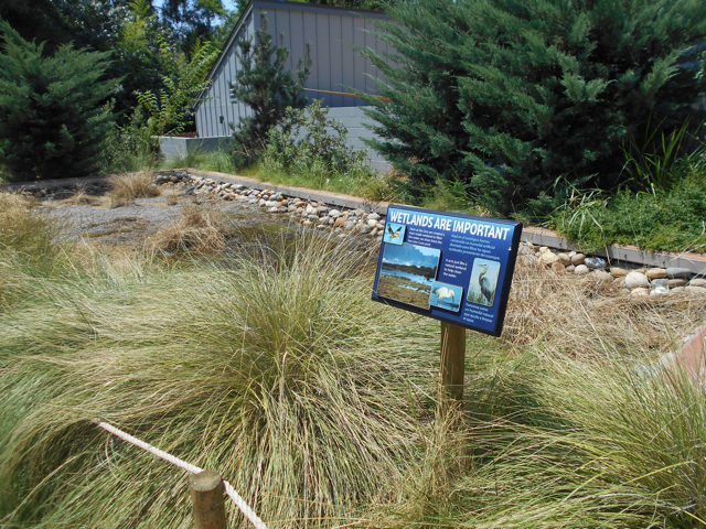Wetland exhibit in Sea Lion Coast along entry trail