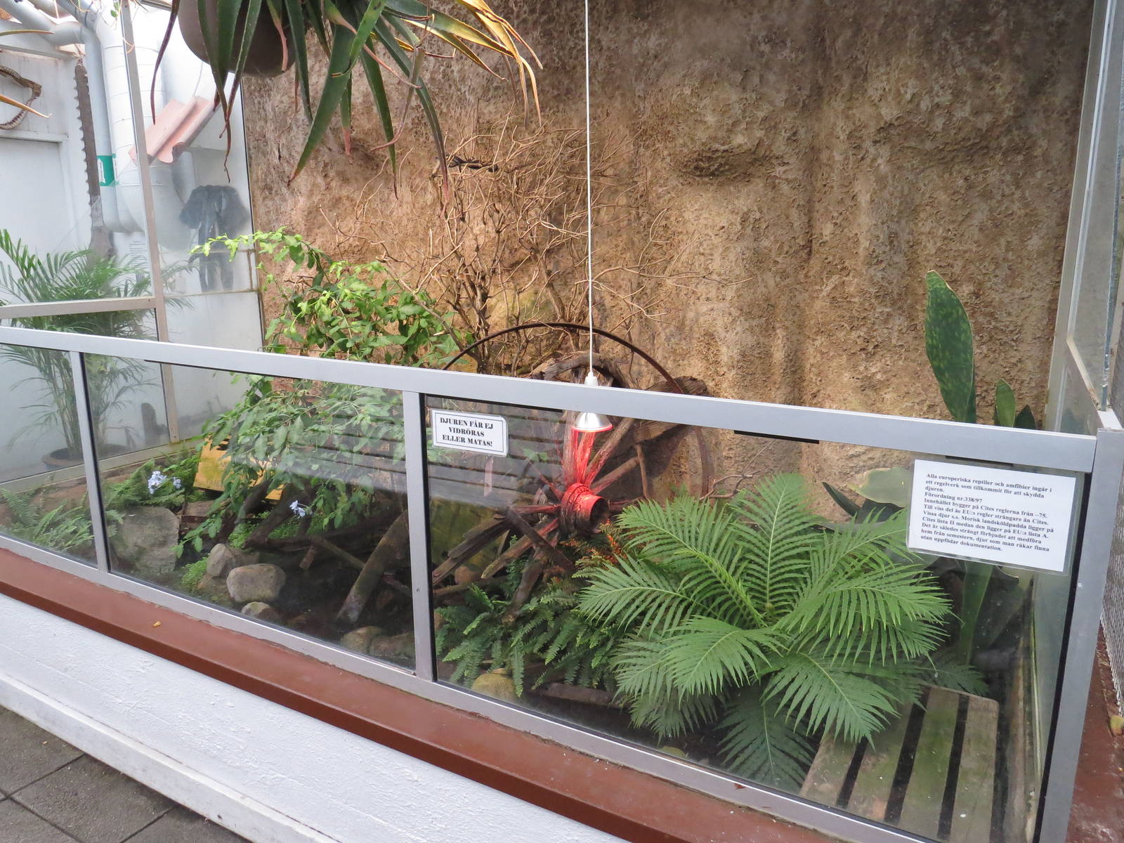 Wetland exhibit, June 2015