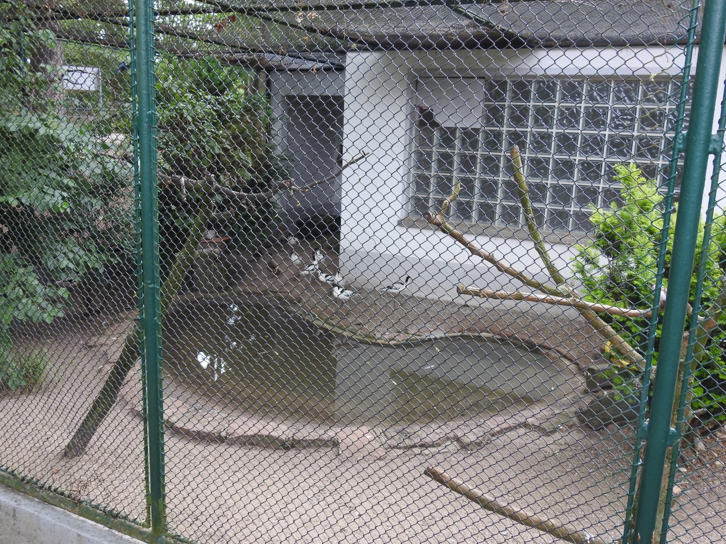 Wetland exhibit