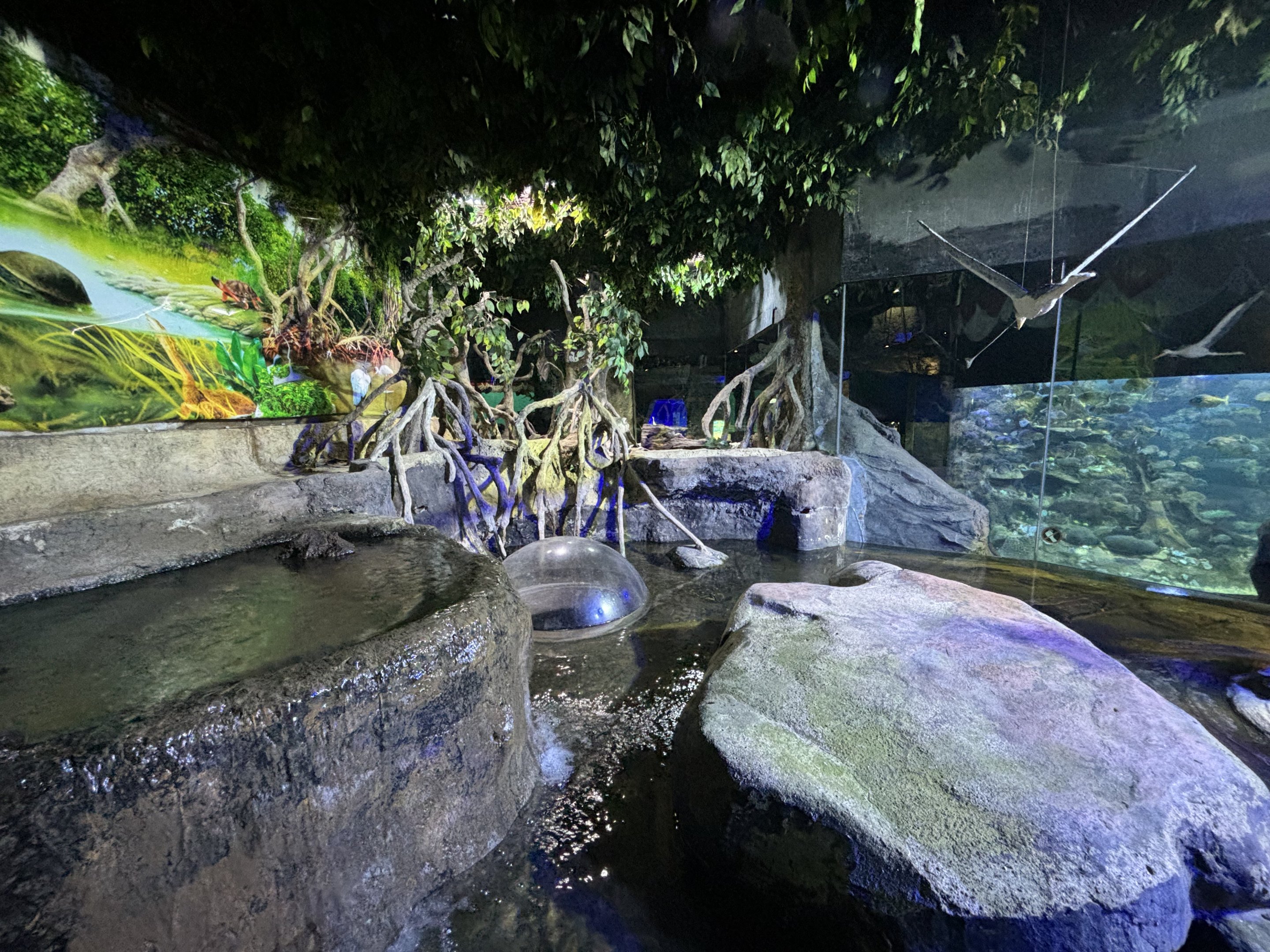Wetland Exhibit
