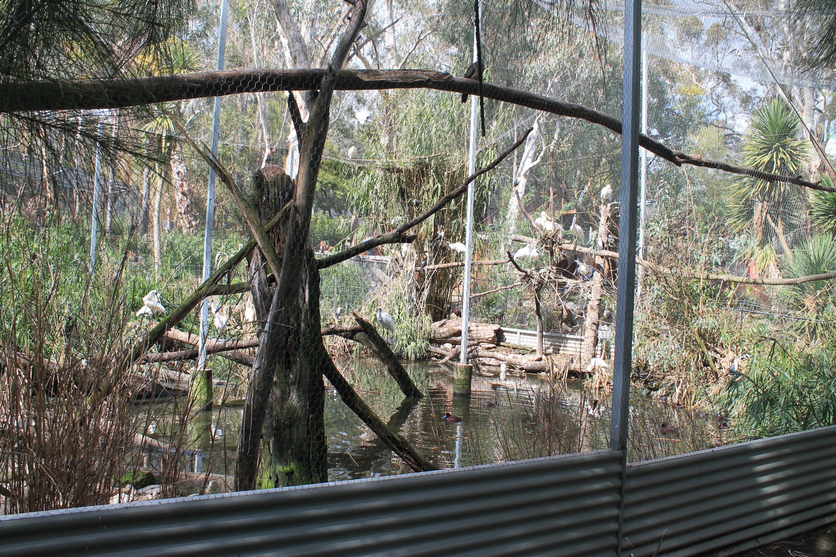 Wetland Habitat aviary
