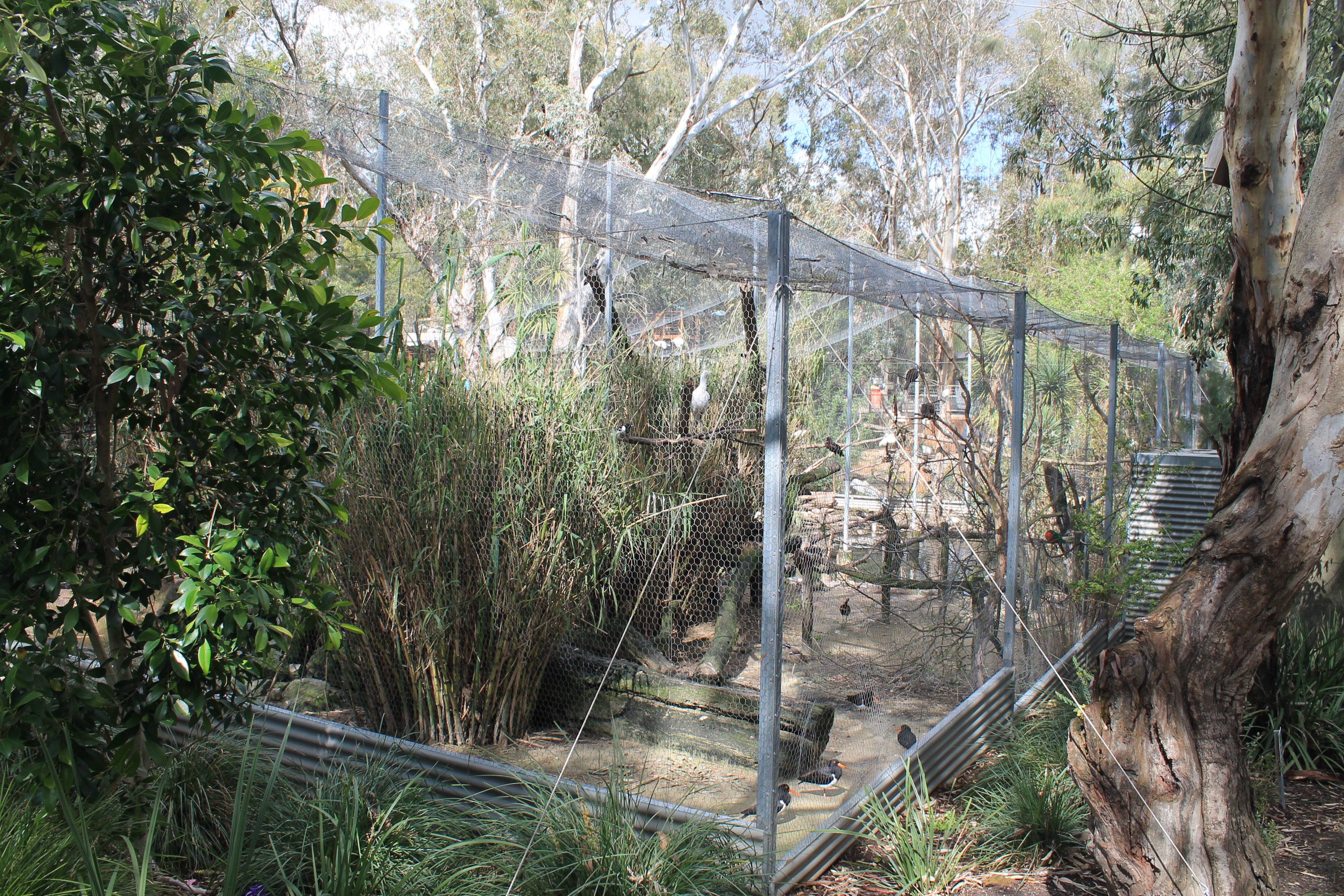 Wetland Habitat aviary