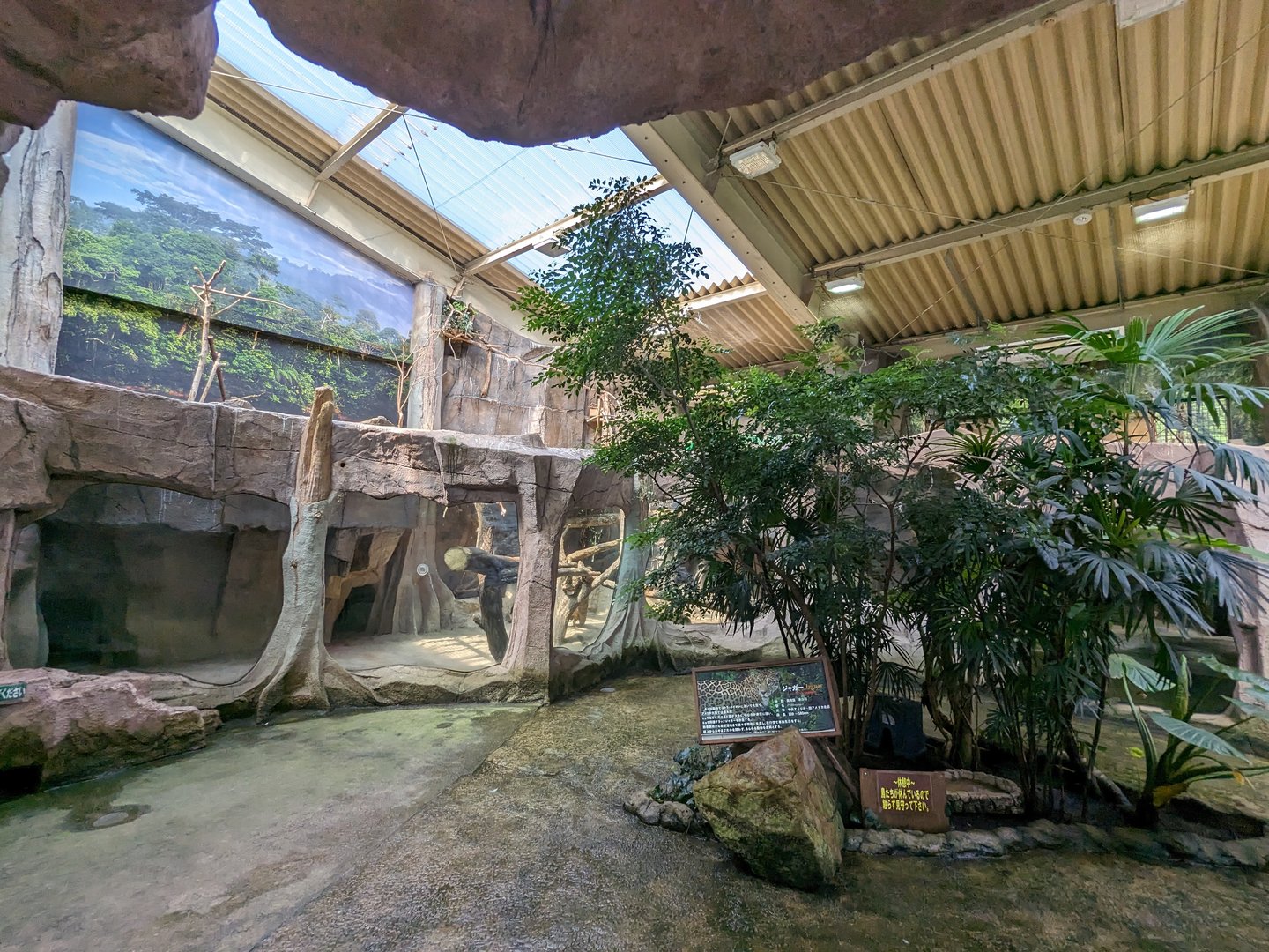 Wetland - Jaguar Exhibit